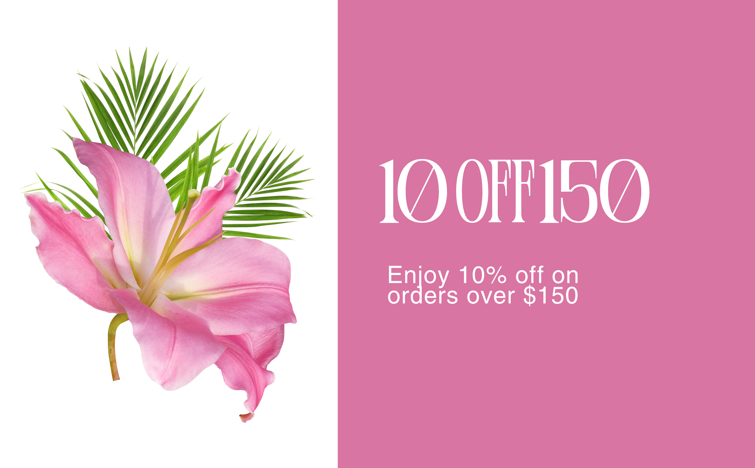 Use code 10OFF150 on get 10% off!