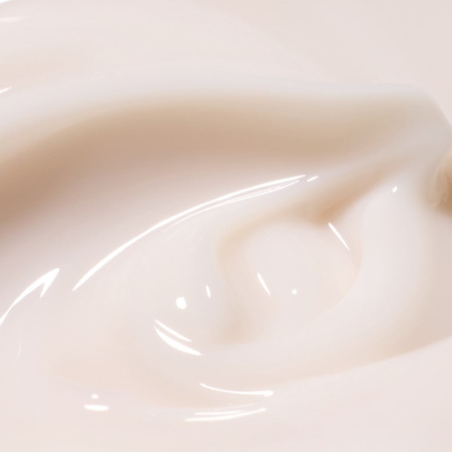 Innisfree Jeju Orchid Enriched Cream 50ml | OoshTush | K-Beauty | Korean Skincare