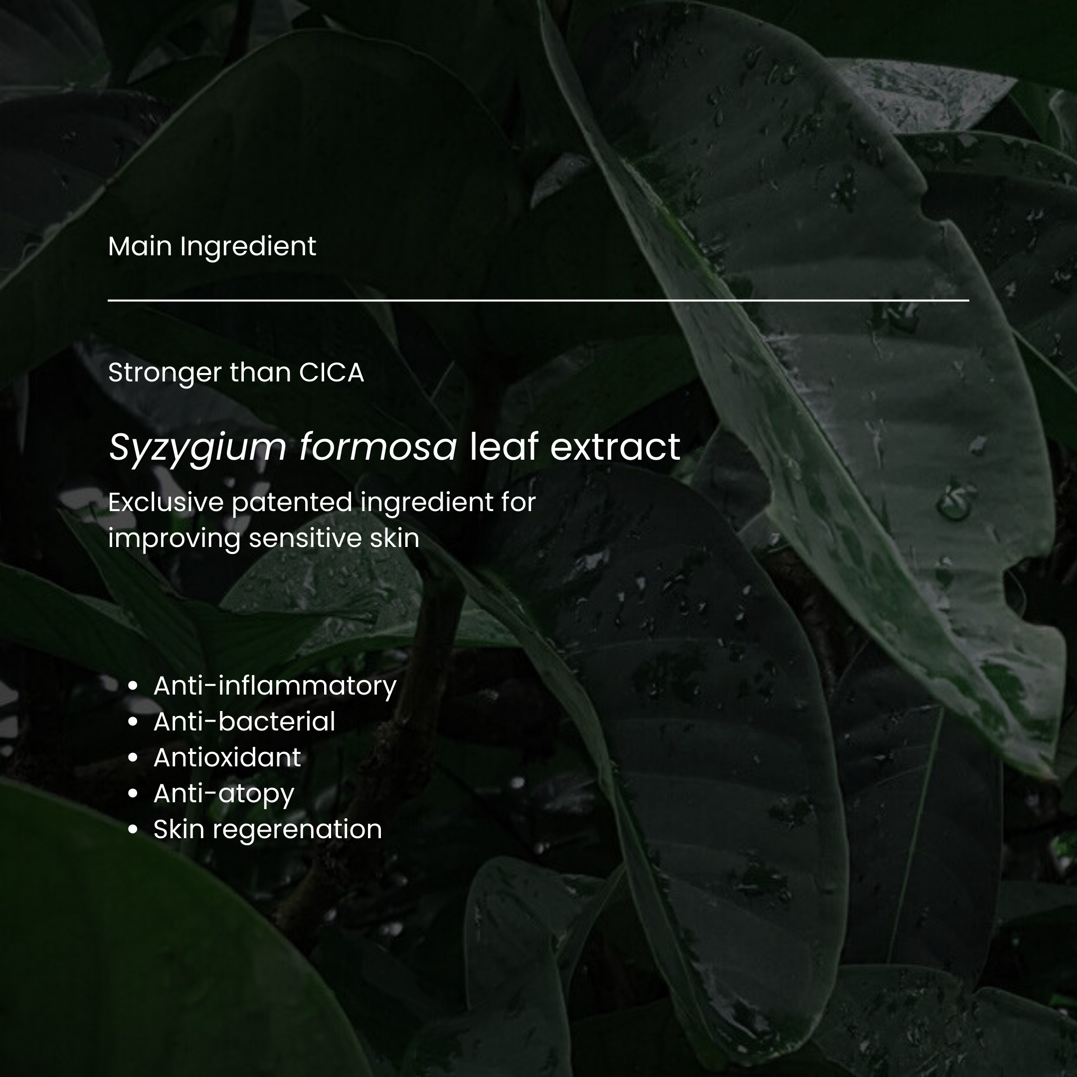 Theraphyto Pure pH Balancing Foam Cleanser for Skin Balance