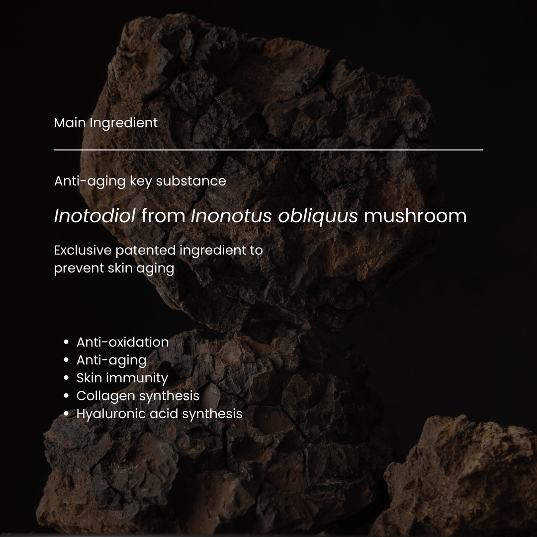 Copy of theraphytoabel mushroom.png