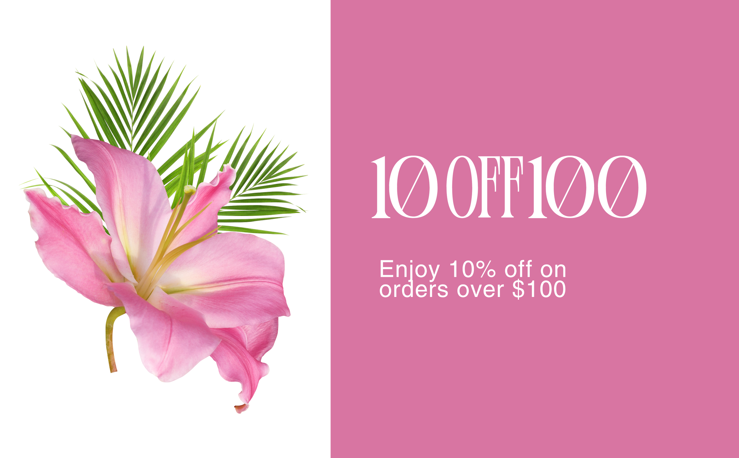 Use code 10OFF100 on get 10% off!