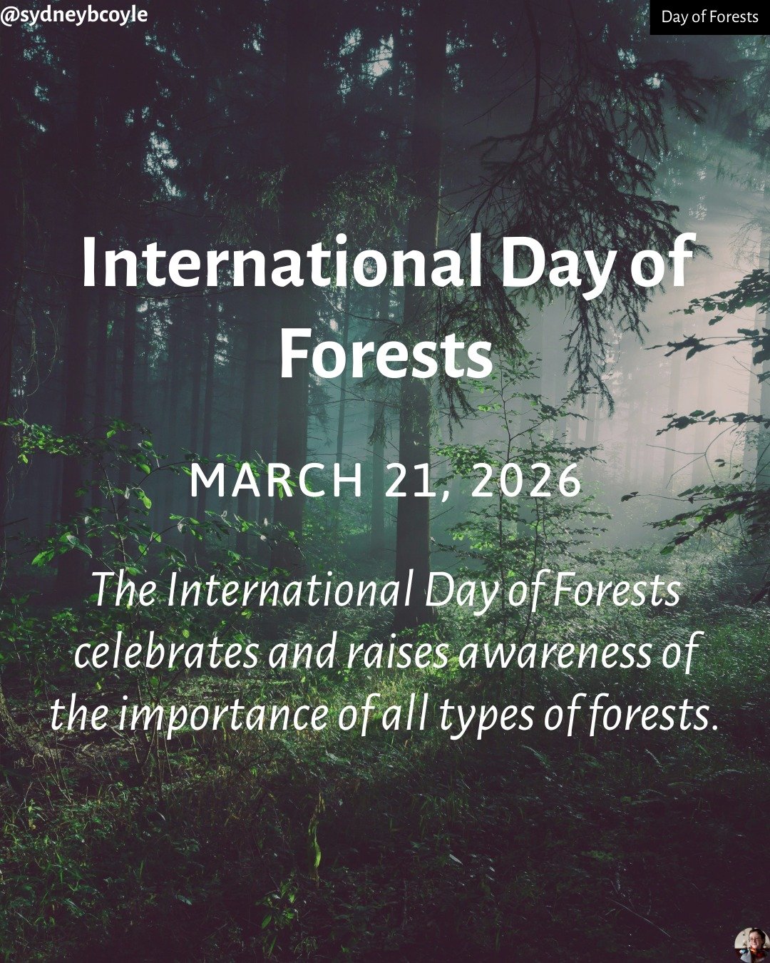 Forests are vital in our ecosystem, which is why we honour the International Day of Forests today. Swipe to learn how you can protect forests. 

#protectforests
#internationaldayofforests
#dayofforests
#protectearth