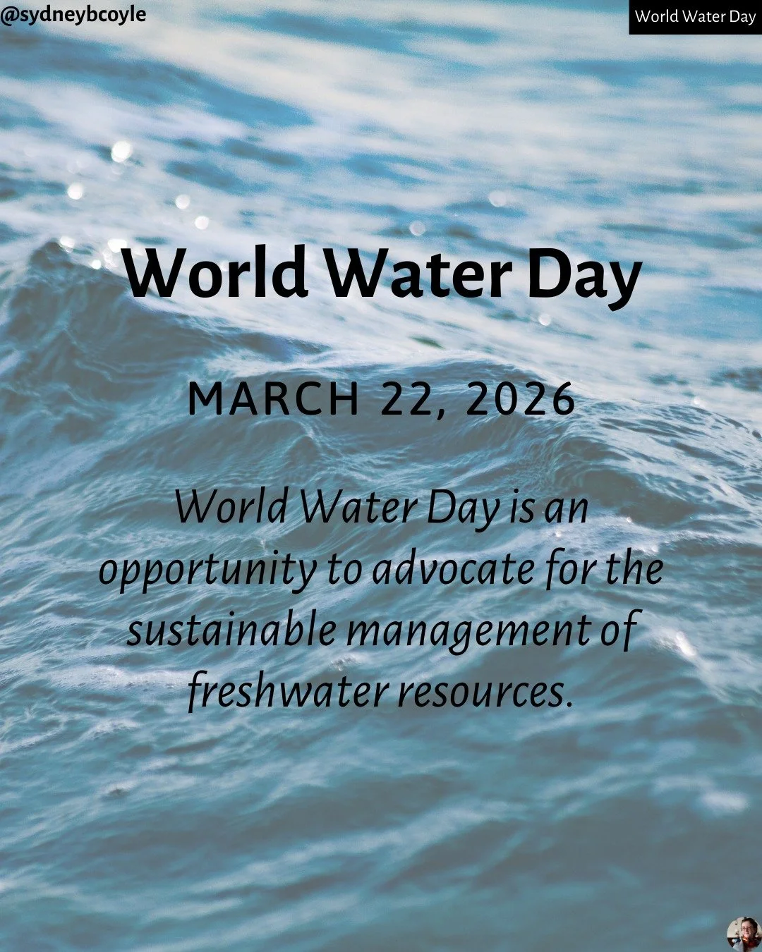 It's World Water Day! Find out how you can preserve water by swiping.

PS: One of the best ways to support water conservation is to refuse to use AI! Check out my blog as to why AI is so harmful, especially for the environment.
https://www.sydneybrou