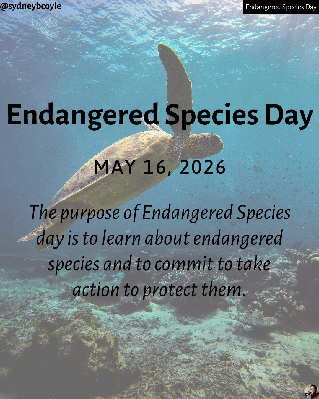 Today is Endangered Species Day. In light of increasing extinction, loss of biodiversity, and climate change, it is more important than ever to raise awareness and commit to action to protect our beautiful species across Earth.

#endangeredspeciesday