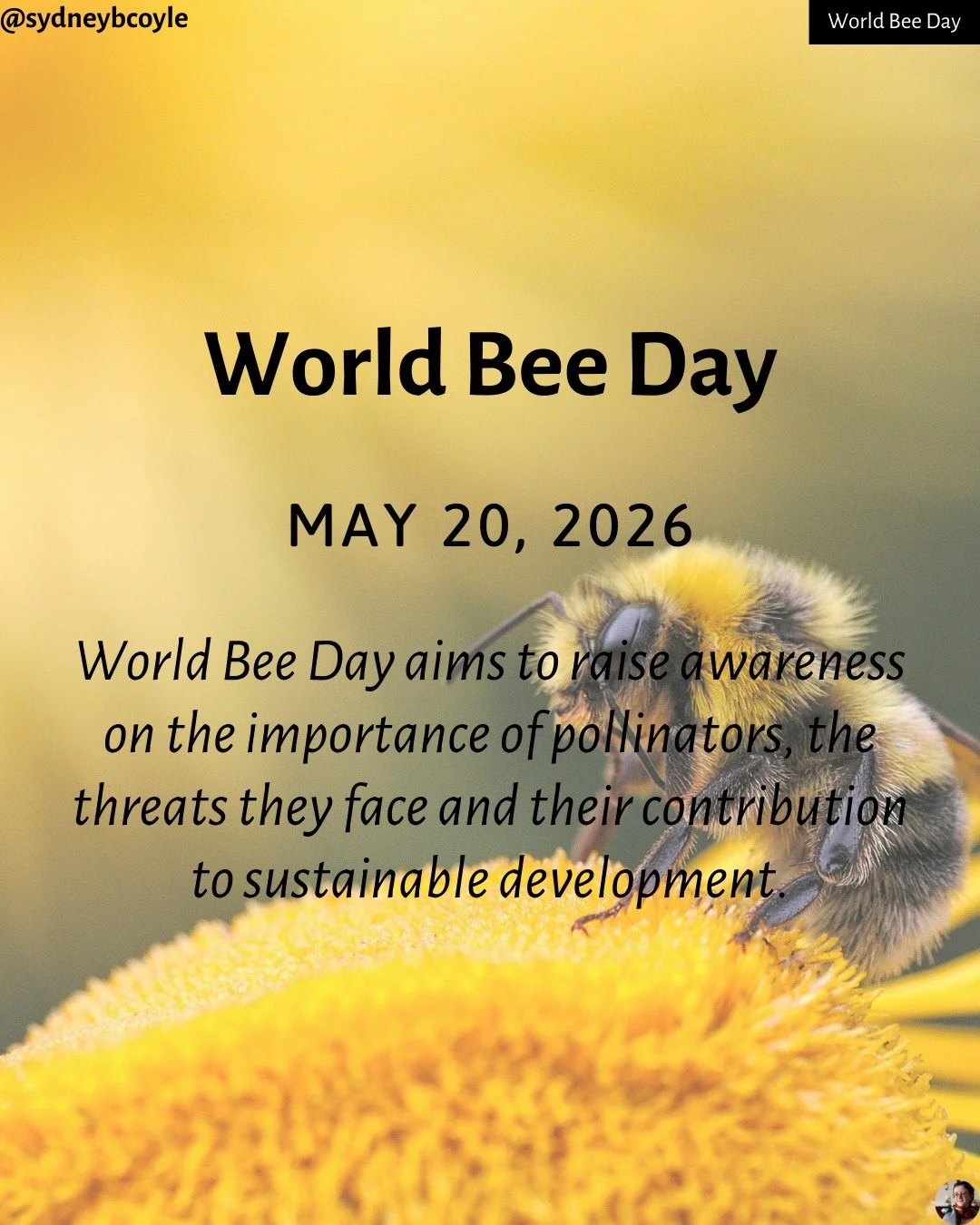 Today is World Bee Day! Bees are a critical pollinator that supports our ecosystems. Learn more about how to protect bees by swiping! 

#worldbeeday
#protectbees
#protectpollinators