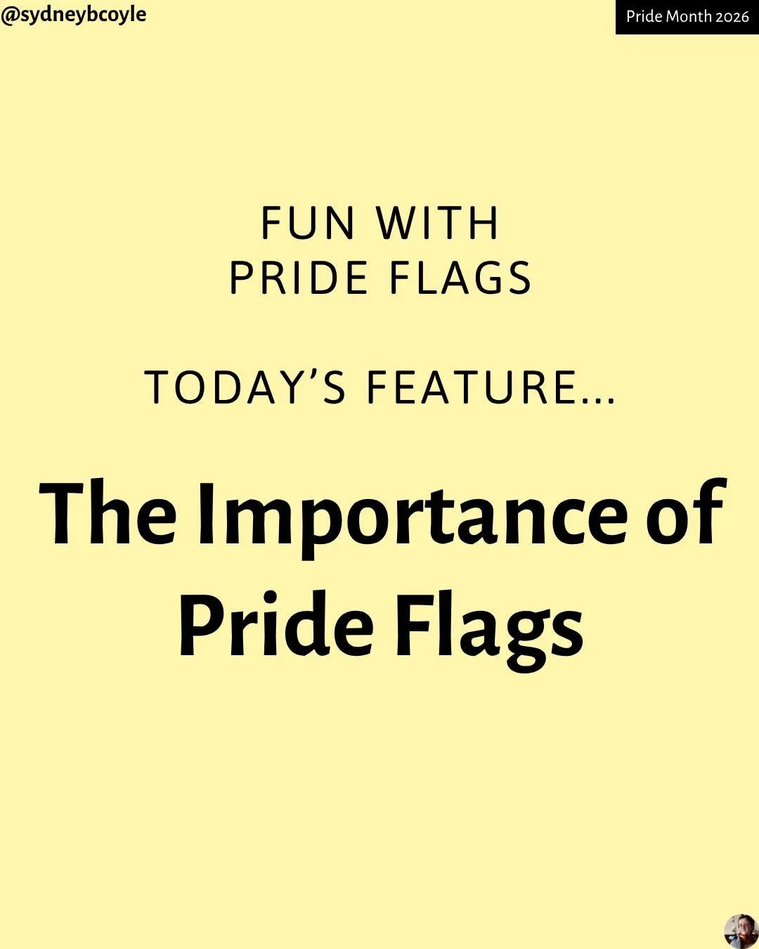 Friday is for Fun with Flags! Today, let's talk about the importance of flags.

#funwithflags
#prideflags
#lgbtqflags
#pridemonth
#pride
#pride2026
#queer
#trans