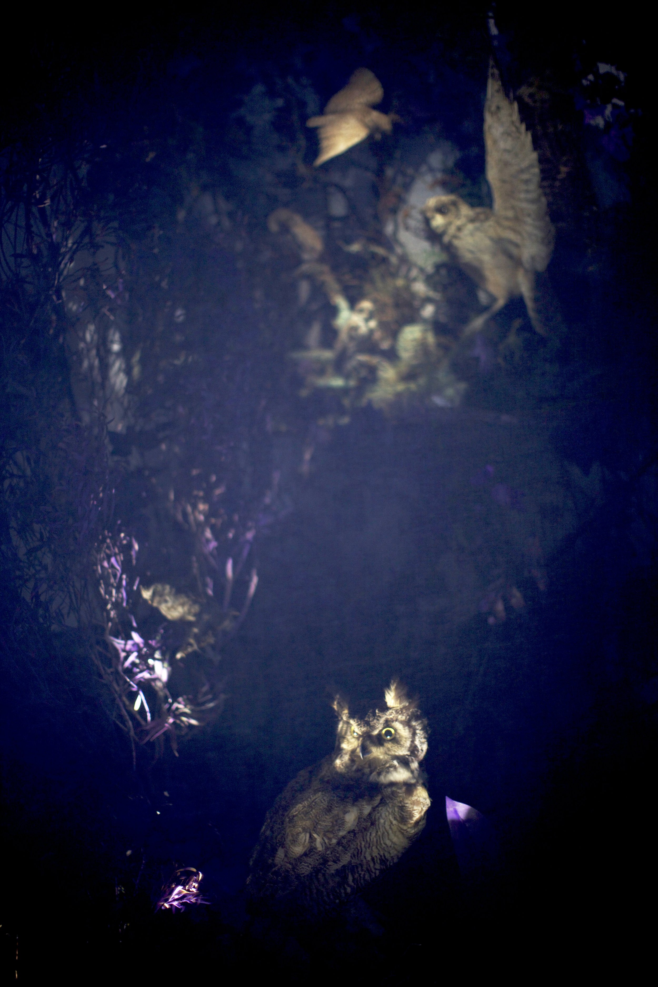 IMG_0320_EDIT.jpg