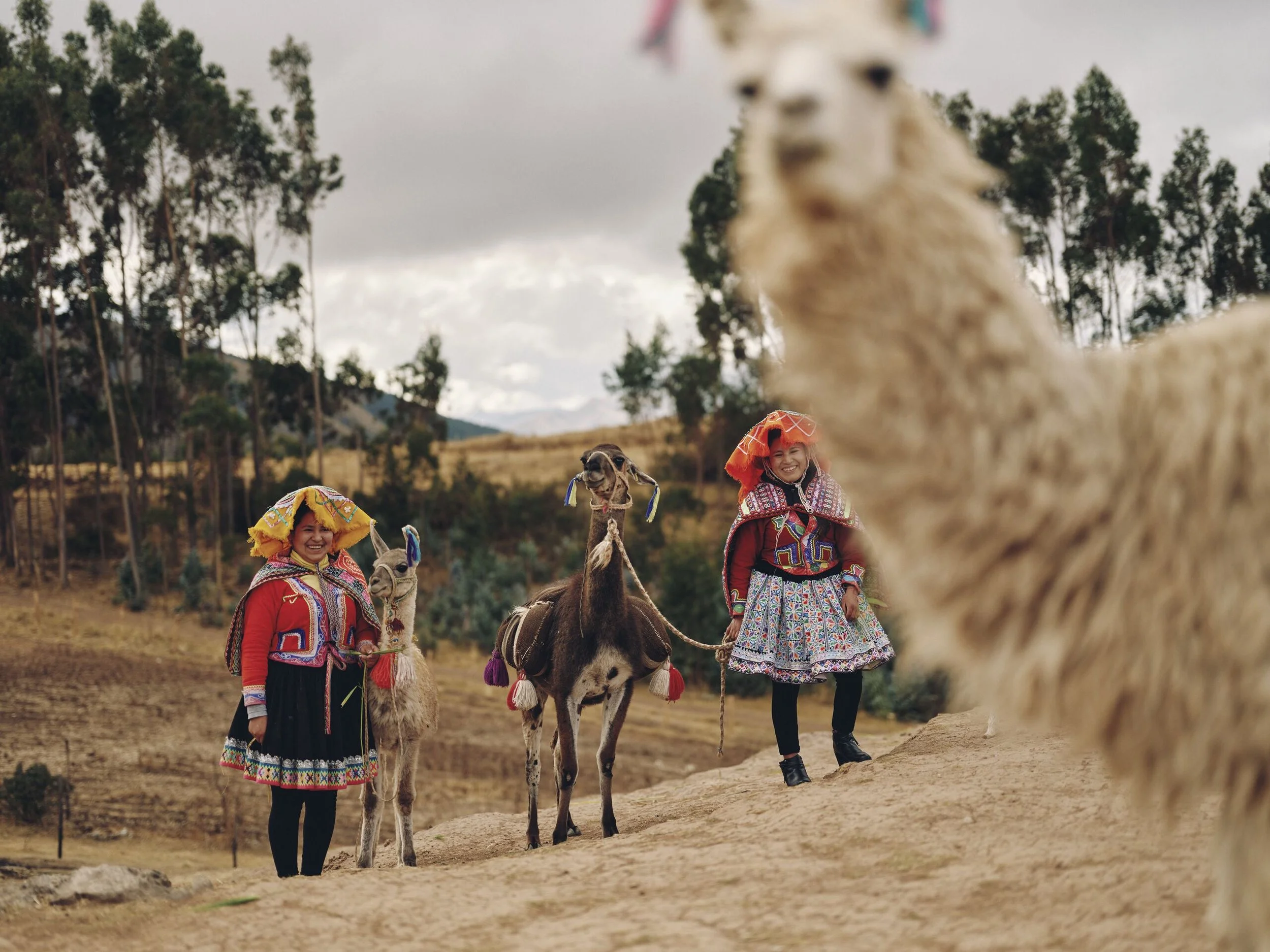Display 2k-AK-Peru_DSF5192-CREDIT - TomGriffiths-TomGPhoto.jpg