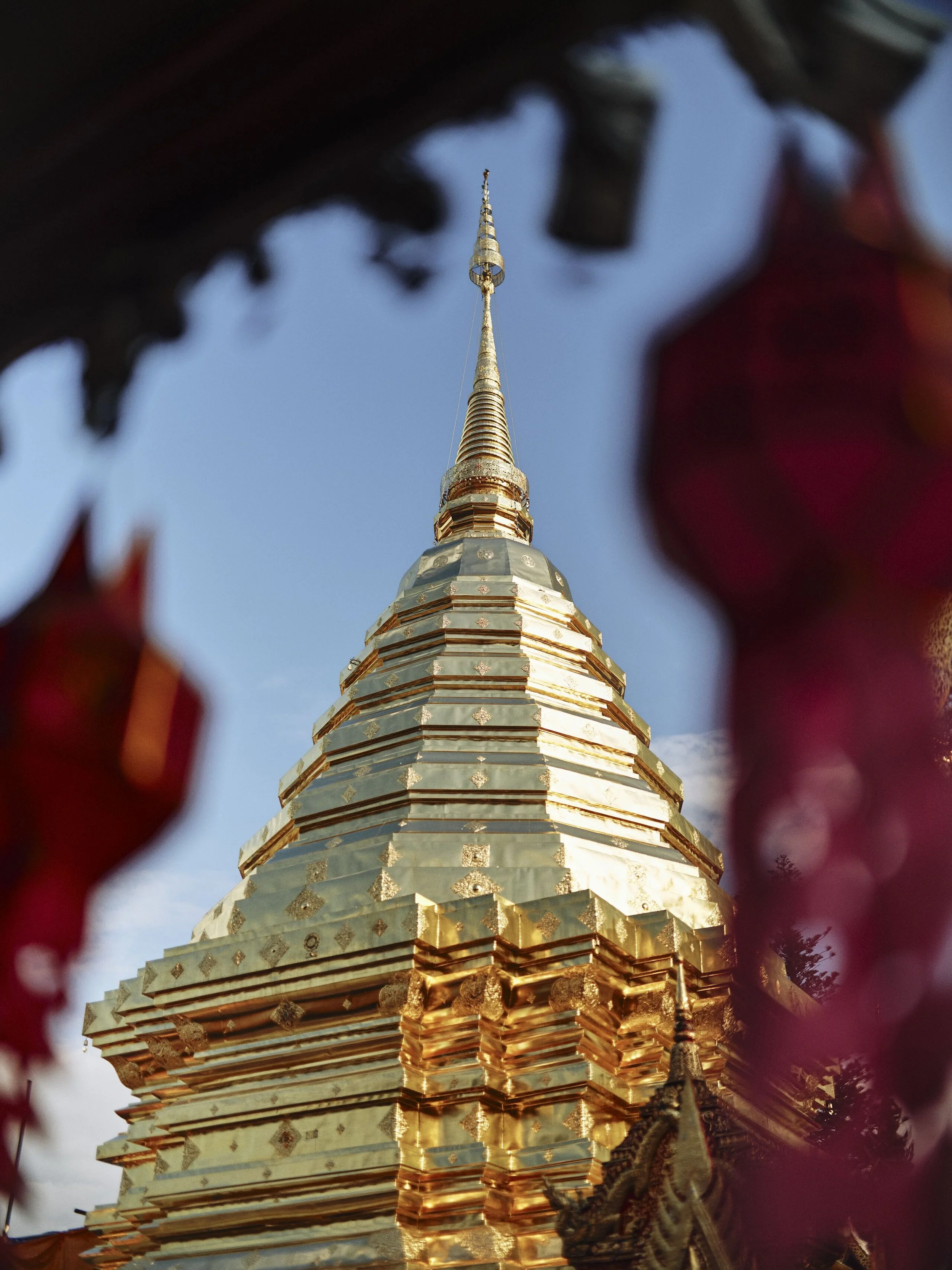 Display 2k-AK-Thailand-ChiangMaiD1-_DSF9348 - CREDIT - TomGriffiths-TomGPhoto.jpg