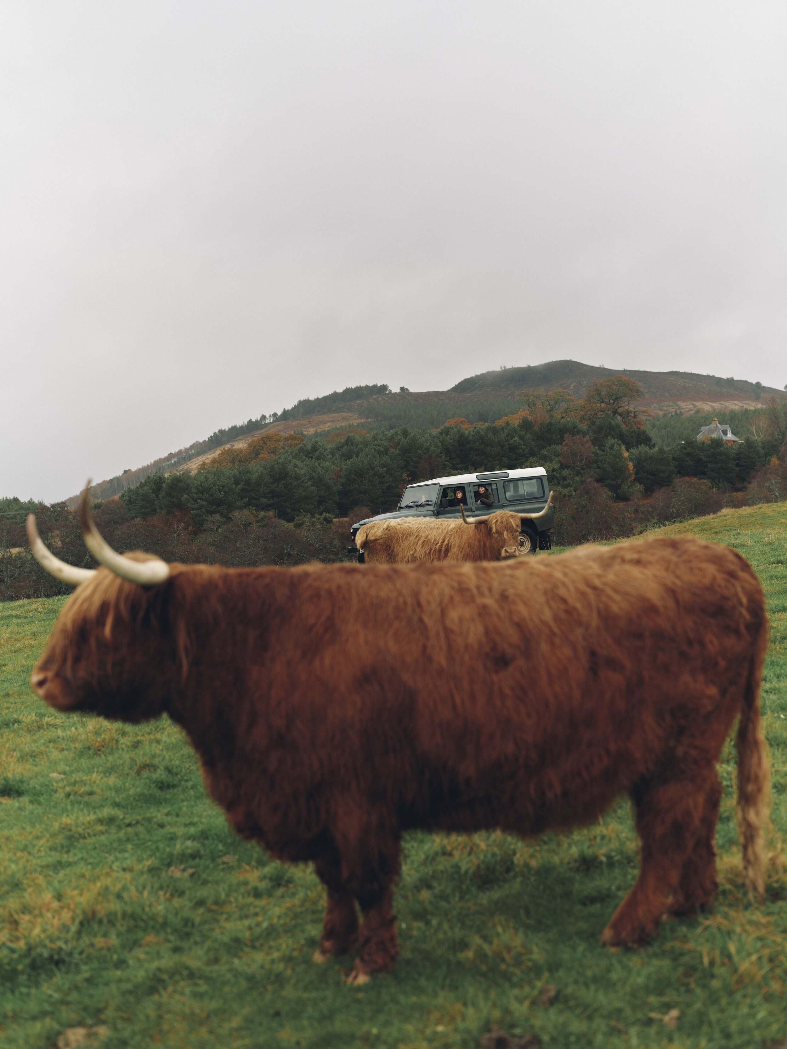 Display 2k-AK-Scotland_DSF8688-CREDIT-TomGriffiths.jpg