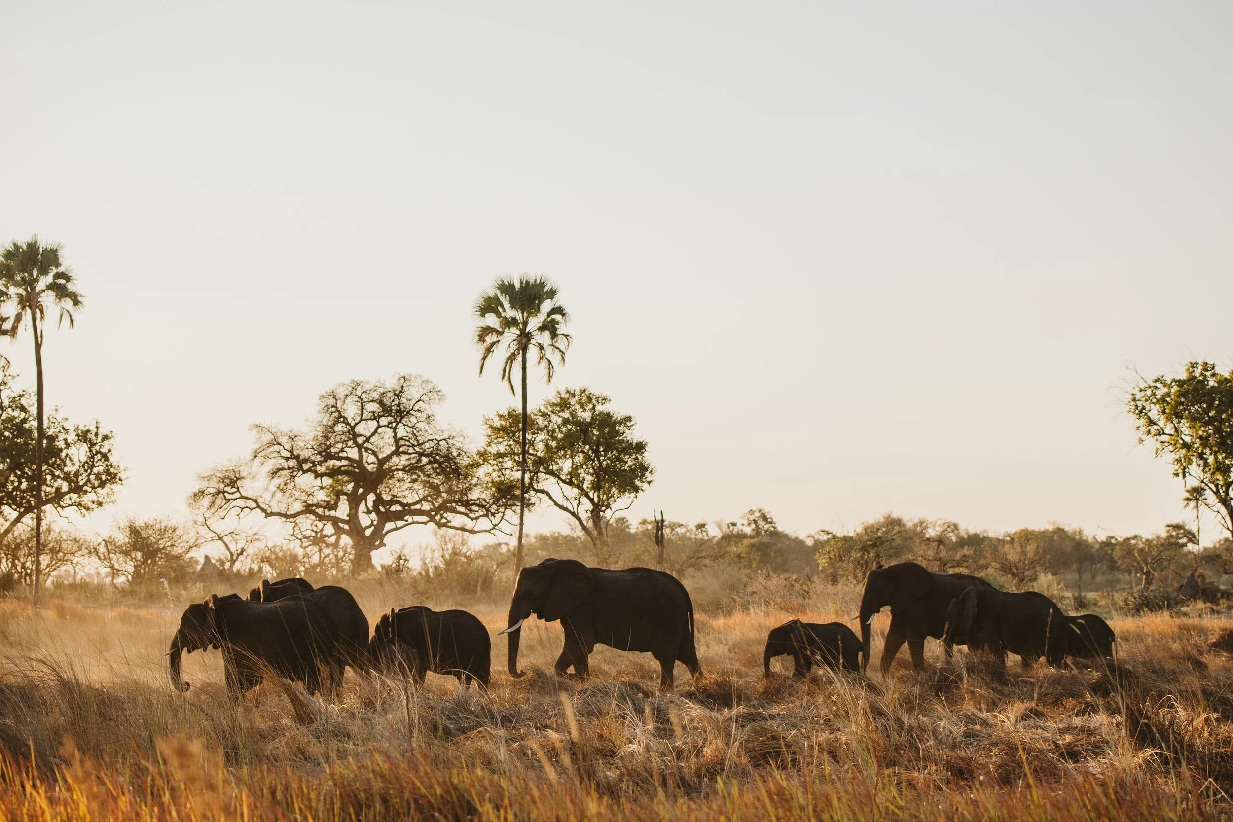 Display 2k-SanctuaryRetreats_BainesCamp_ChrisJoubert-127.jpg