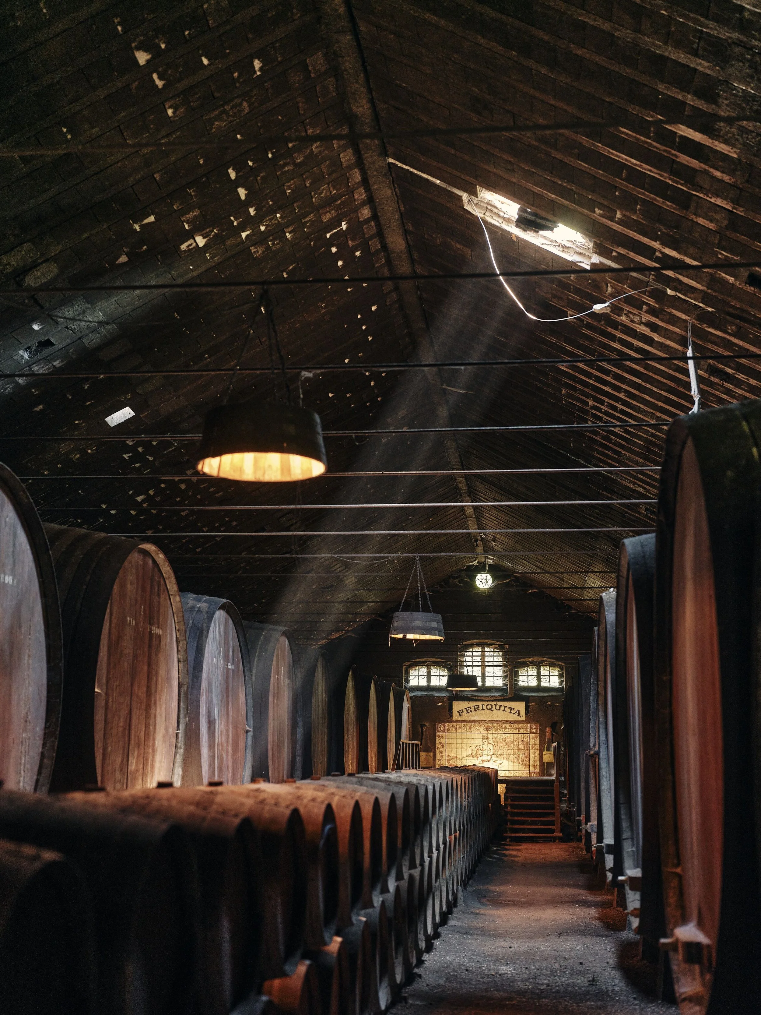 Display 2k-AK-Portugal-Winery_DSF4592-CREDIT-TomGriffiths.jpg