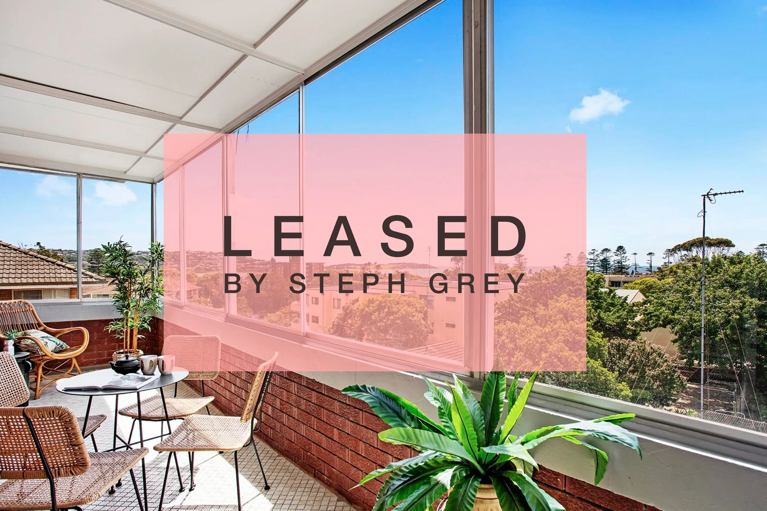 Beachside beauty - Dee Why