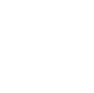 Michael A. Norman's Portfolio
