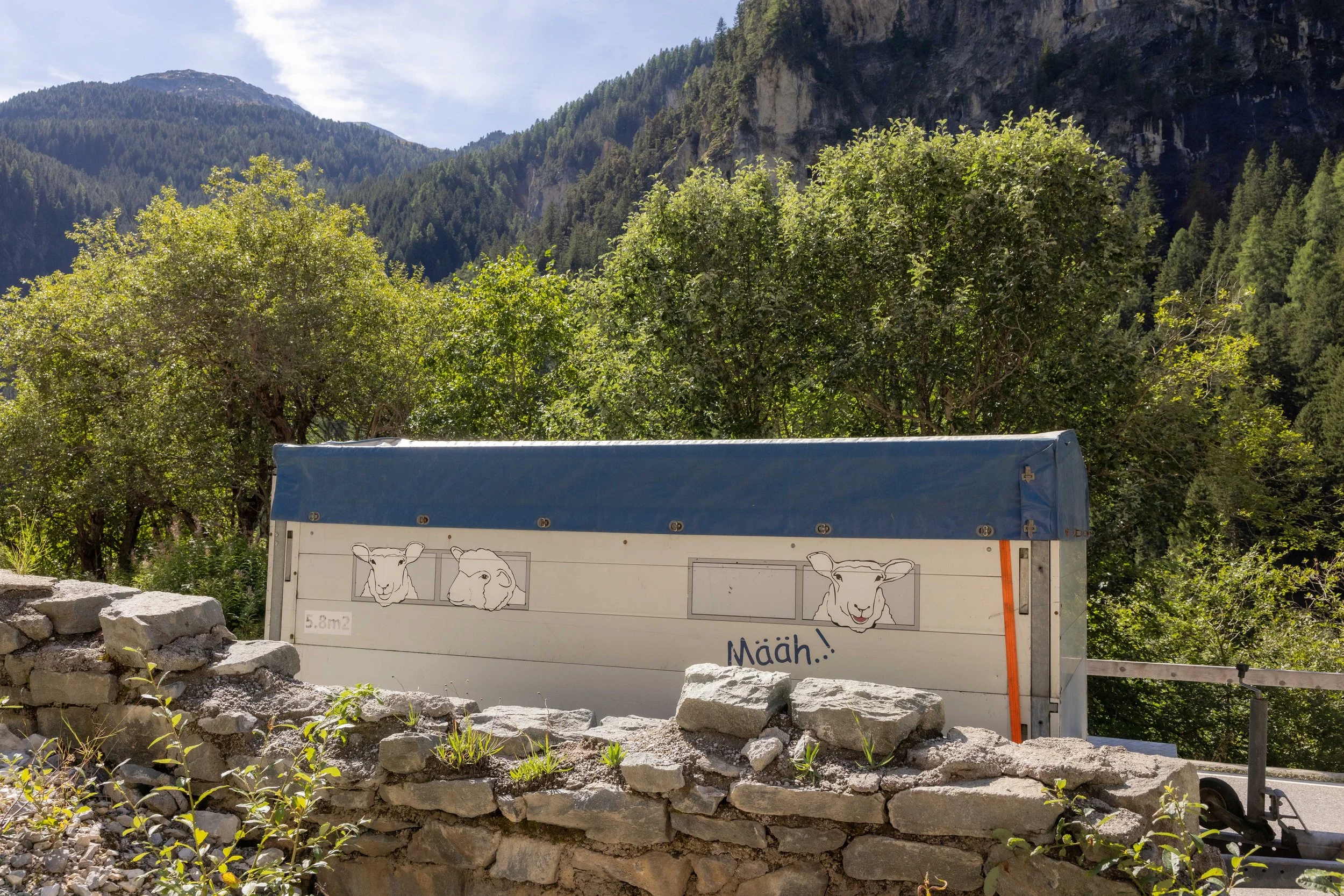 AlpSutFuina_Alpabzug_Graubuenden2025_FinjaBasan