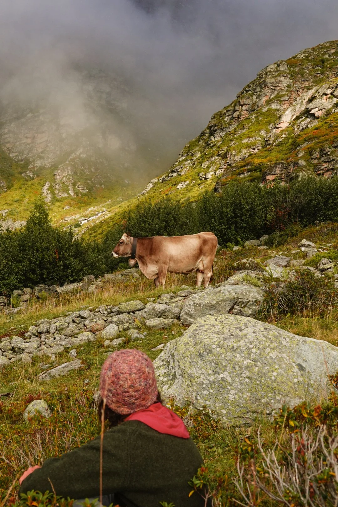 AlpSutFuina_Graubuenden2025_FinjaBasan