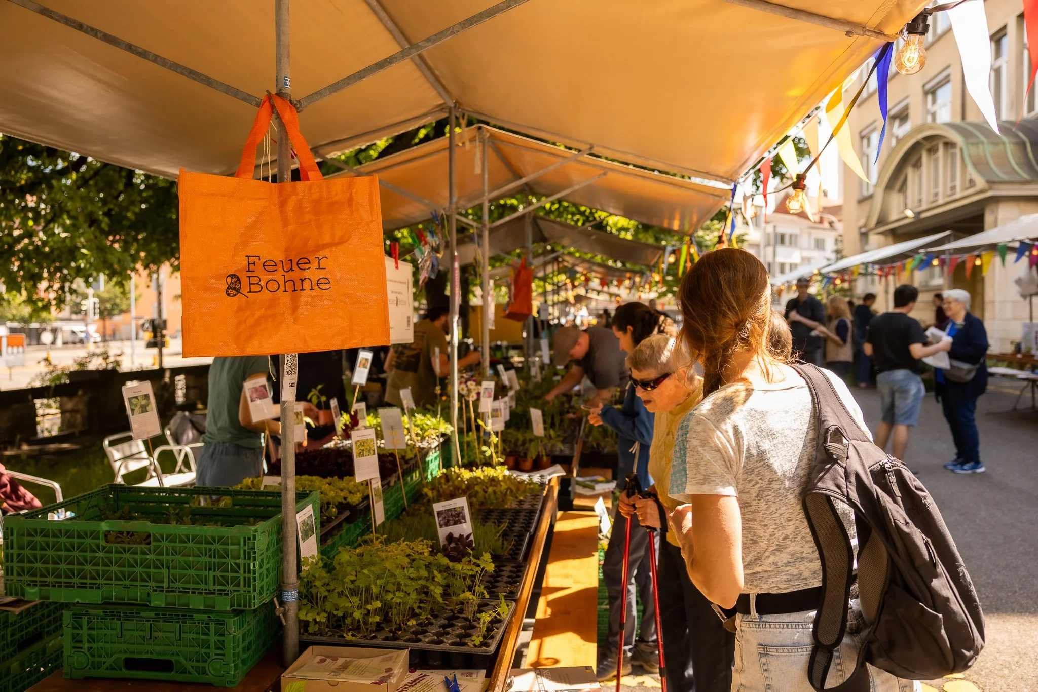 Setzlingsmarkt2025_FinjaBasan-137.jpg