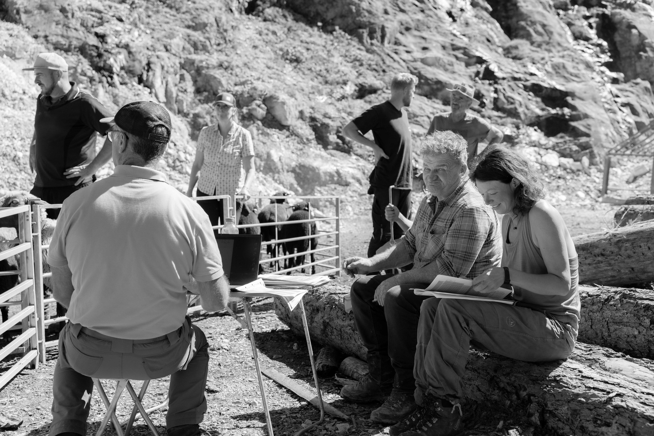 AlpSutFuina_Alpabzug_Graubuenden2025_FinjaBasan