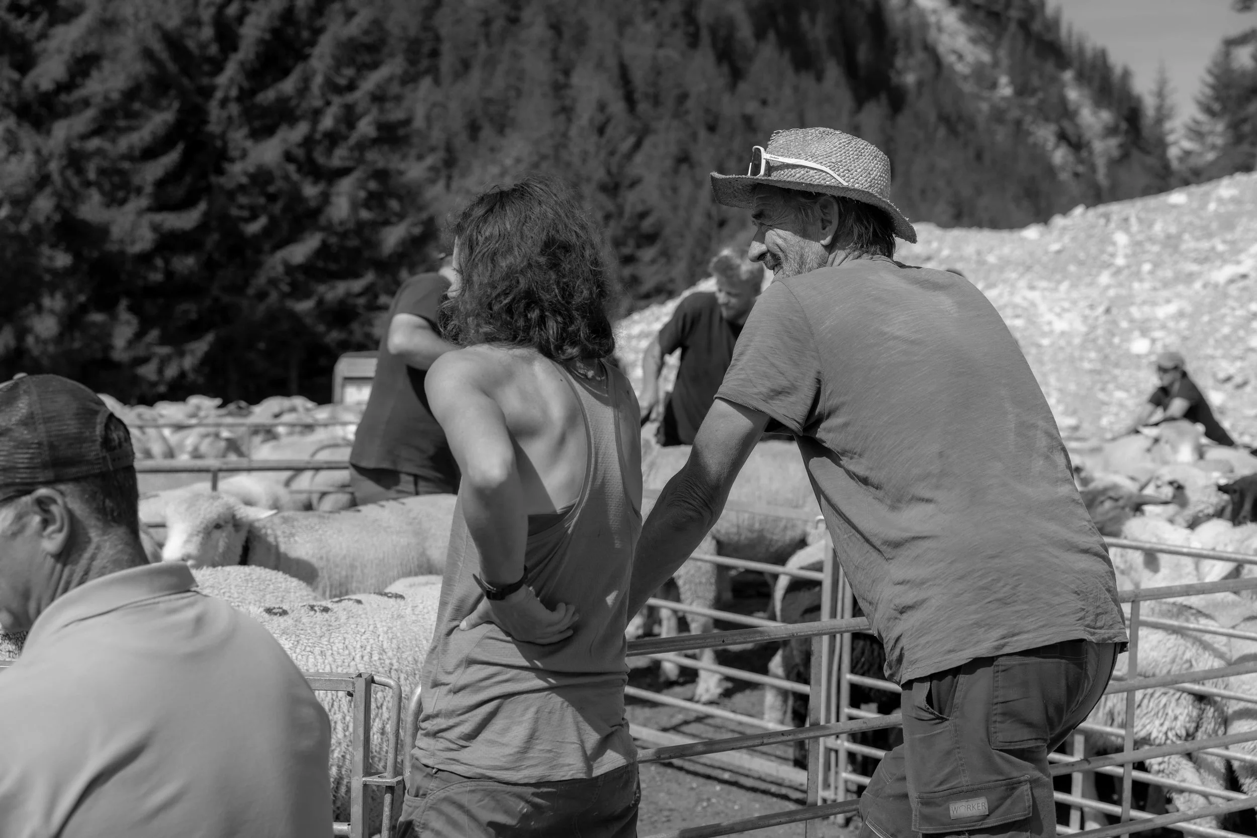 AlpSutFuina_Alpabzug_Graubuenden2025_FinjaBasan