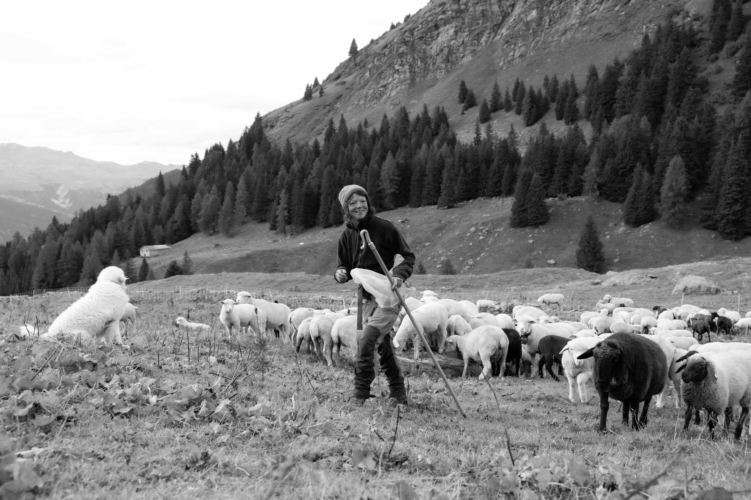 AlpSutFuina_Graubuenden2025_FinjaBasan