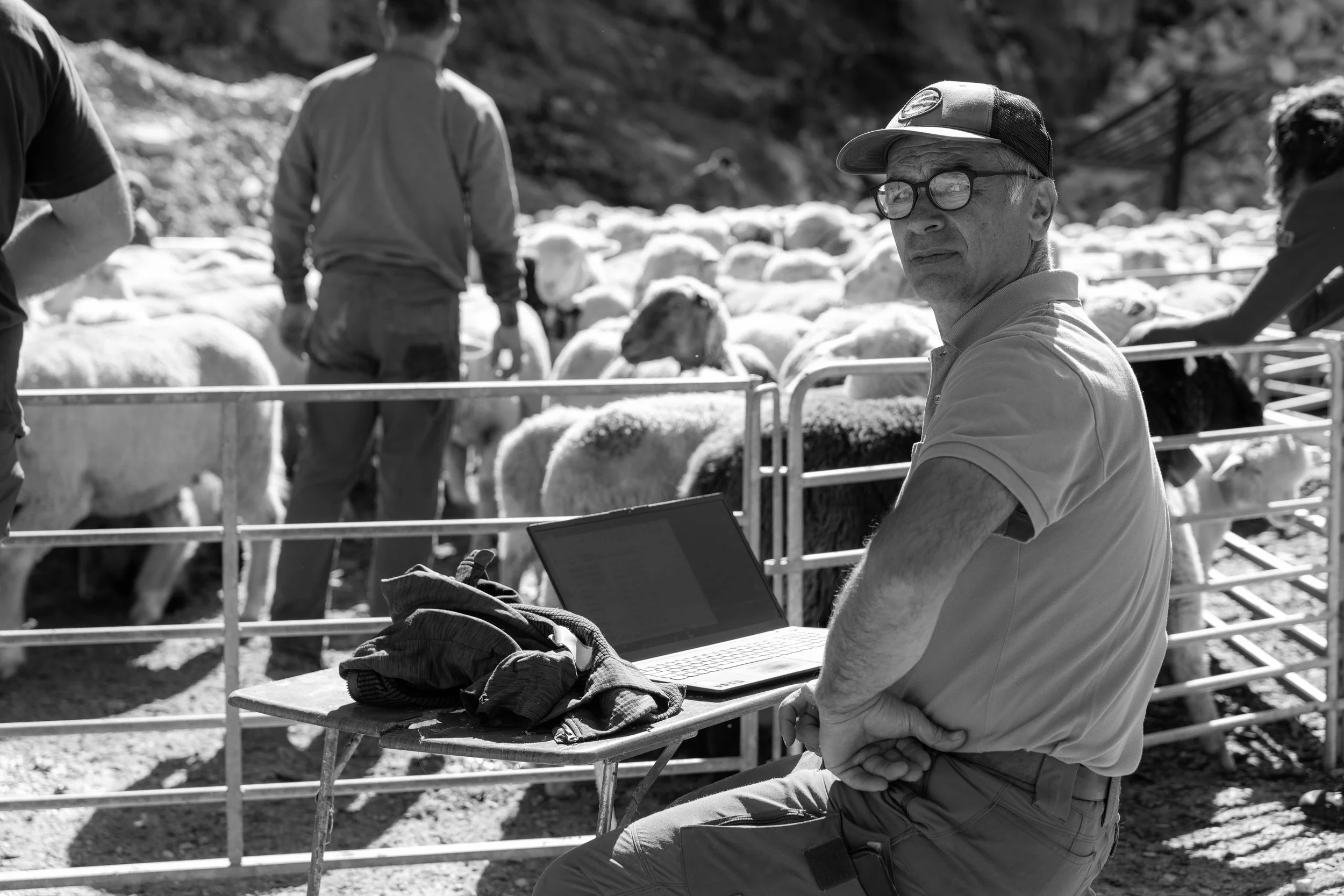 AlpSutFuina_Alpabzug_Graubuenden2025_FinjaBasan