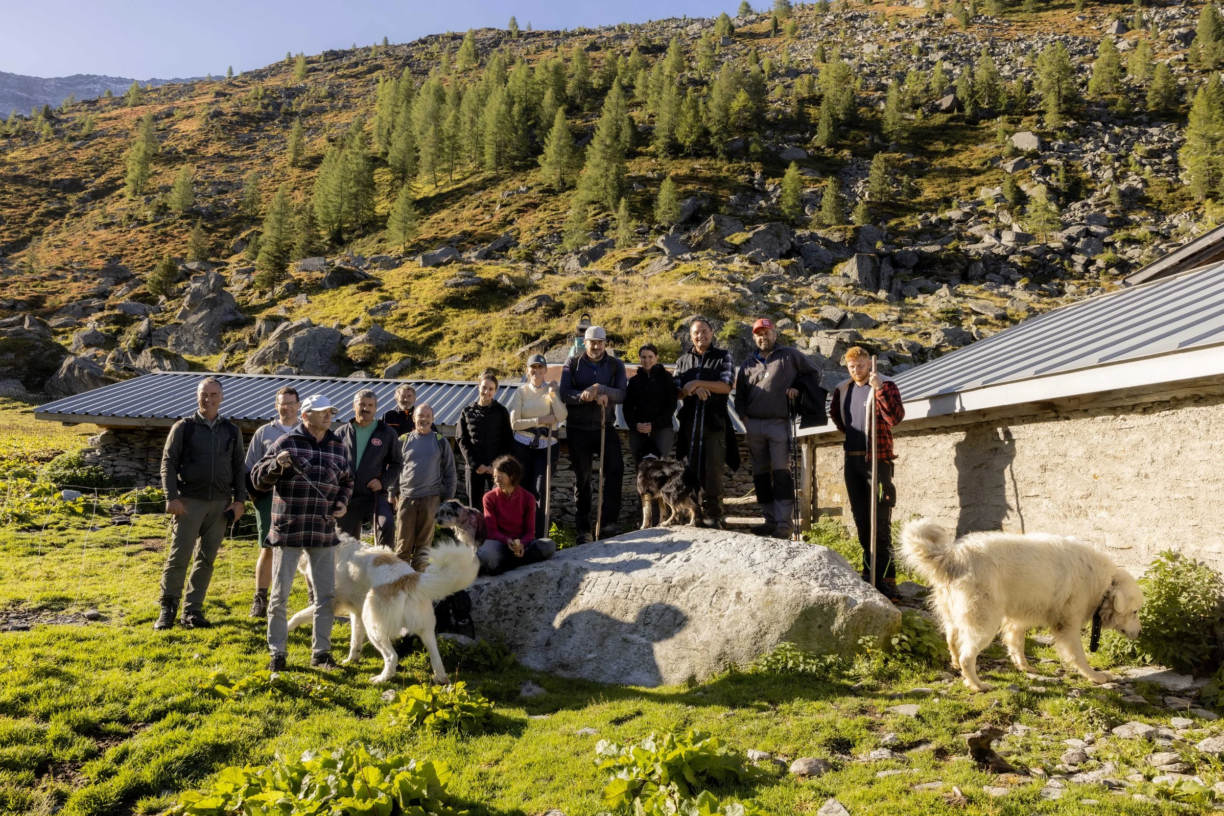 AlpSutFuina_Alpabzug_Graubuenden2025_FinjaBasan