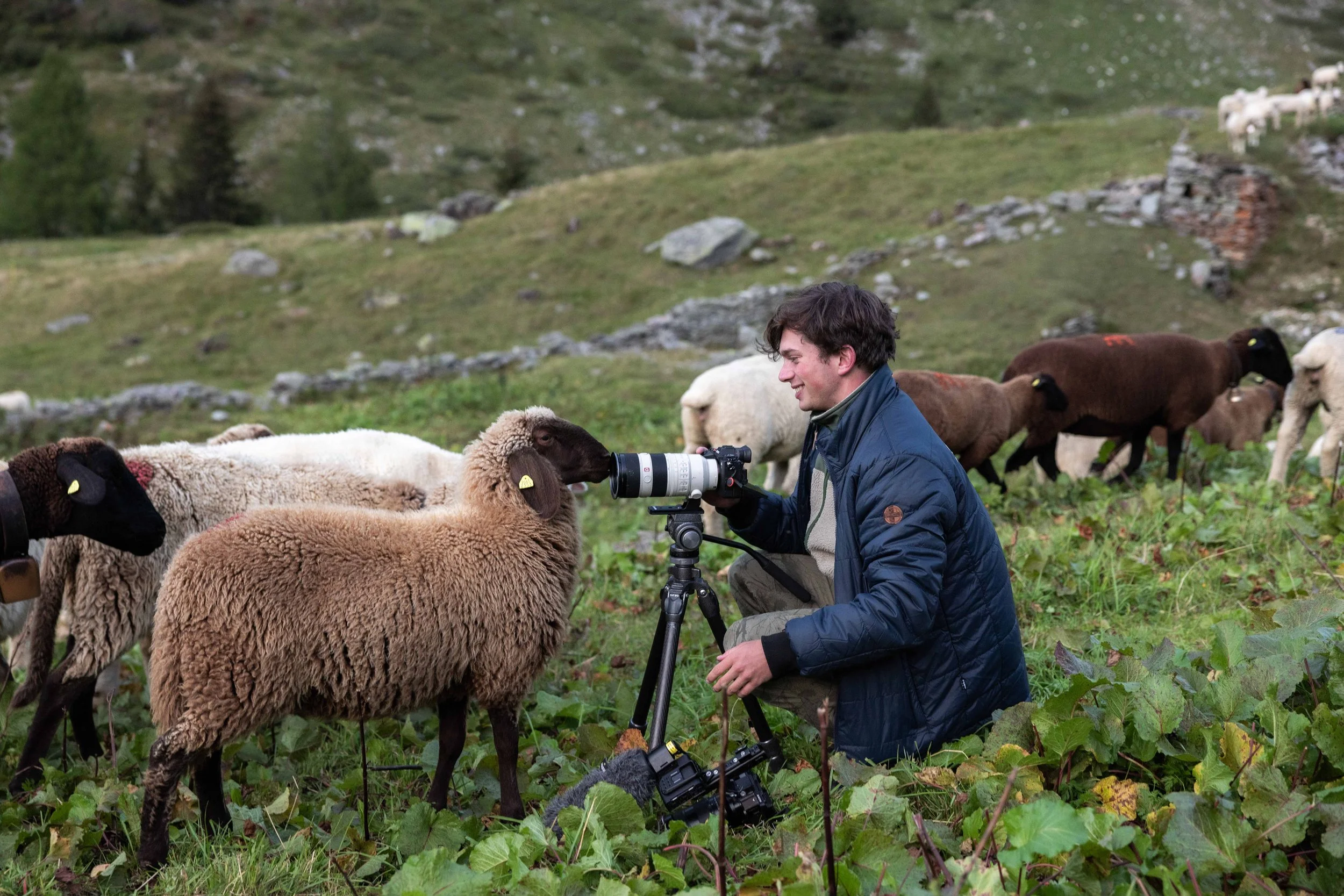 AlpSutFuina_Graubuenden2025_FinjaBasan