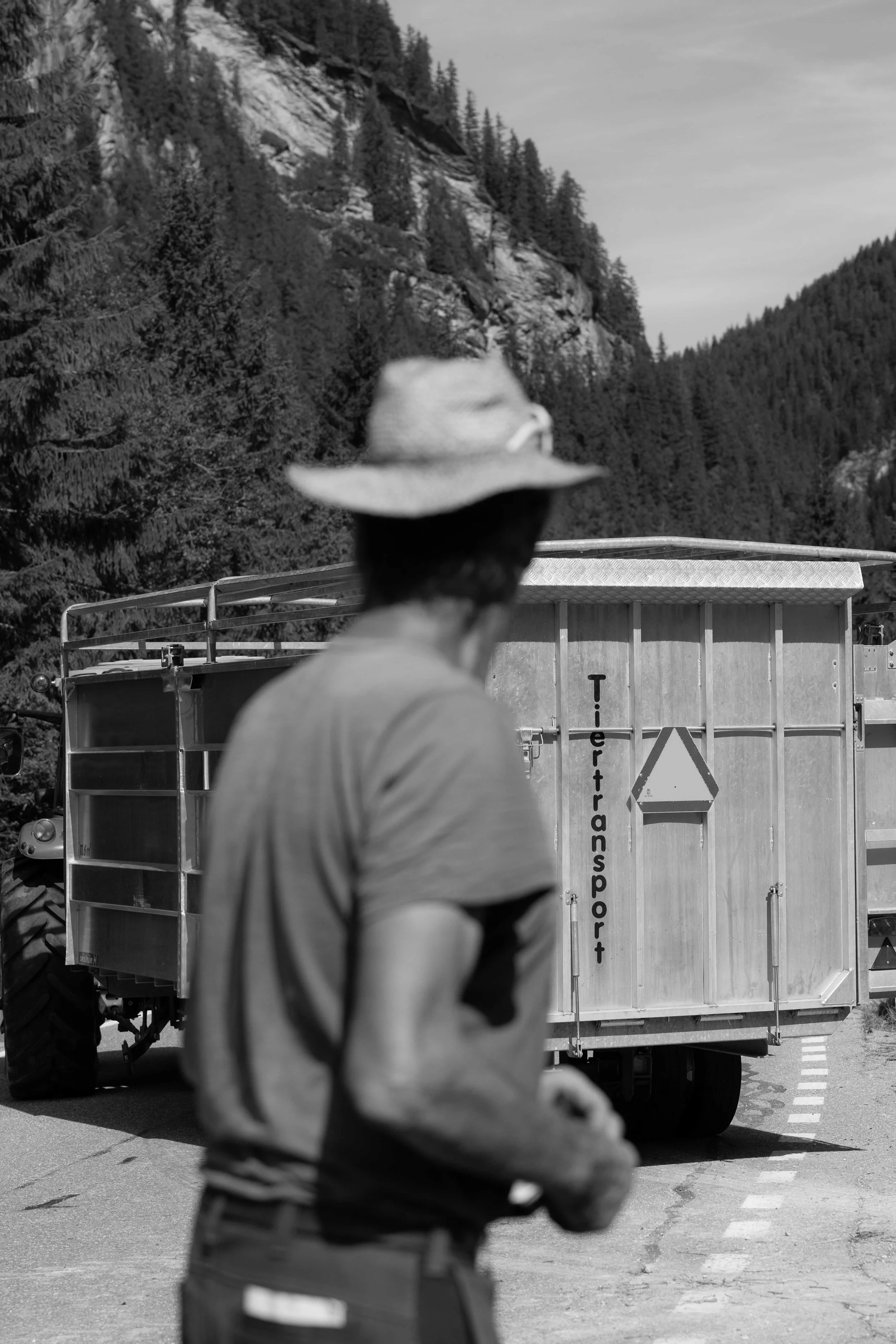 AlpSutFuina_Alpabzug_Graubuenden2025_FinjaBasan