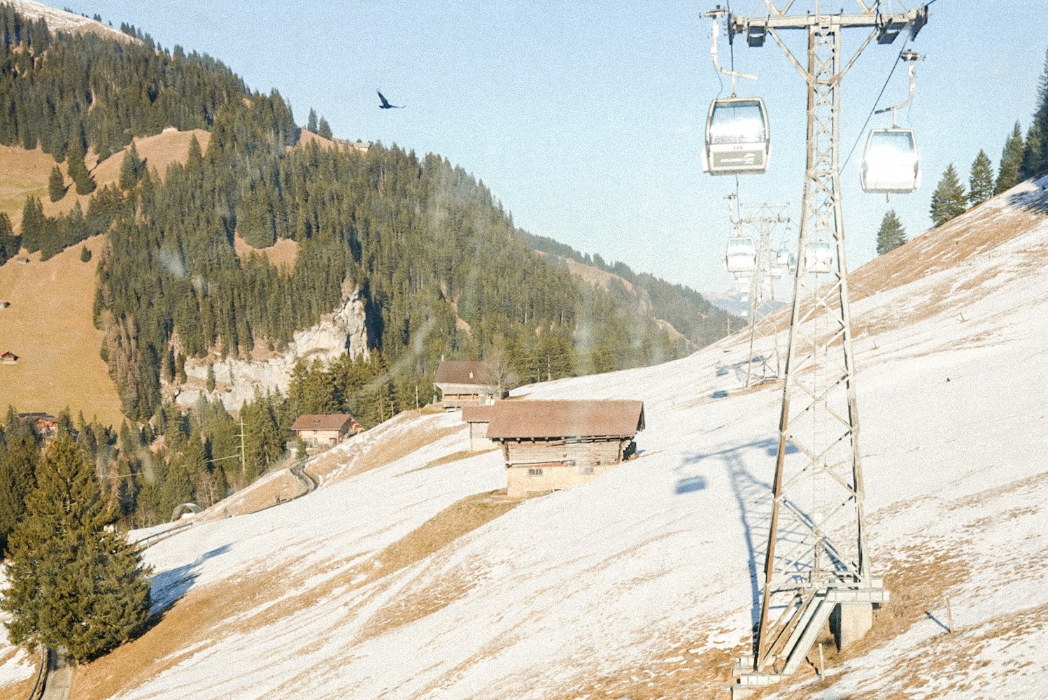 Adelboden2025_FinjaBasan
