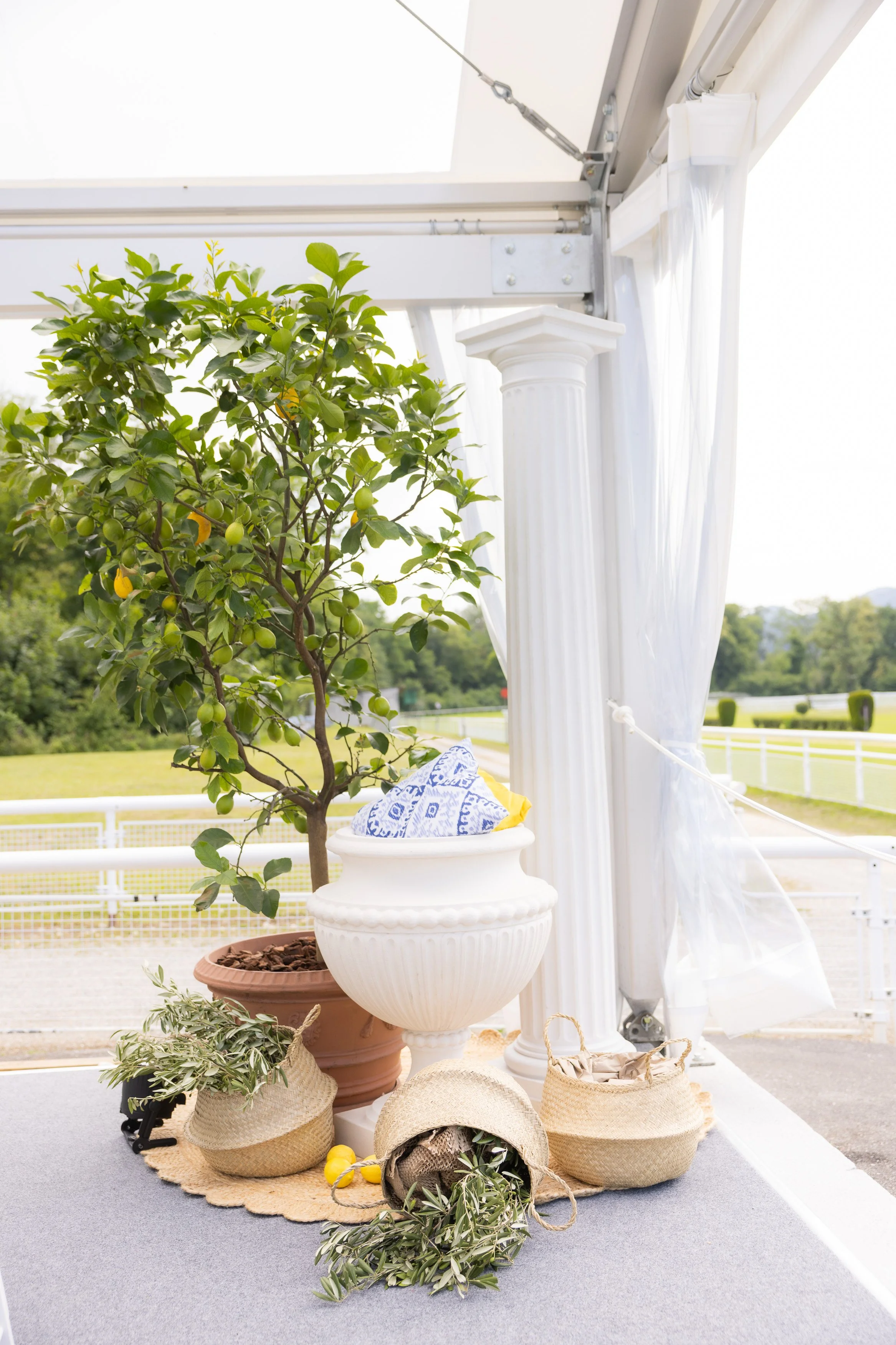 ThommenGastronomie_CateringPferderennbahn_FinjaBasan-47.jpg