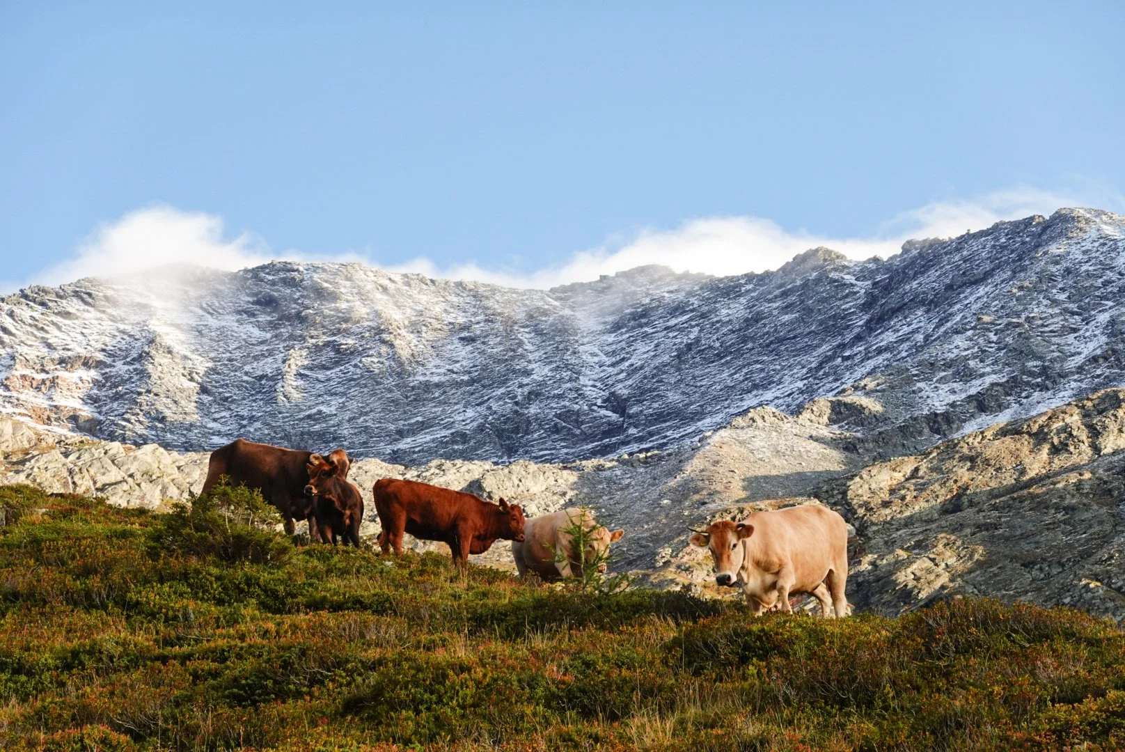 AlpSutFuina_Graubuenden2025_FinjaBasan