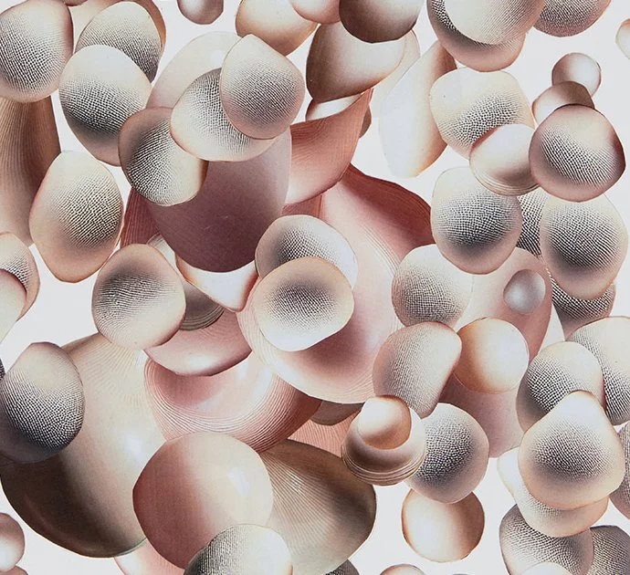 Connective Tissue