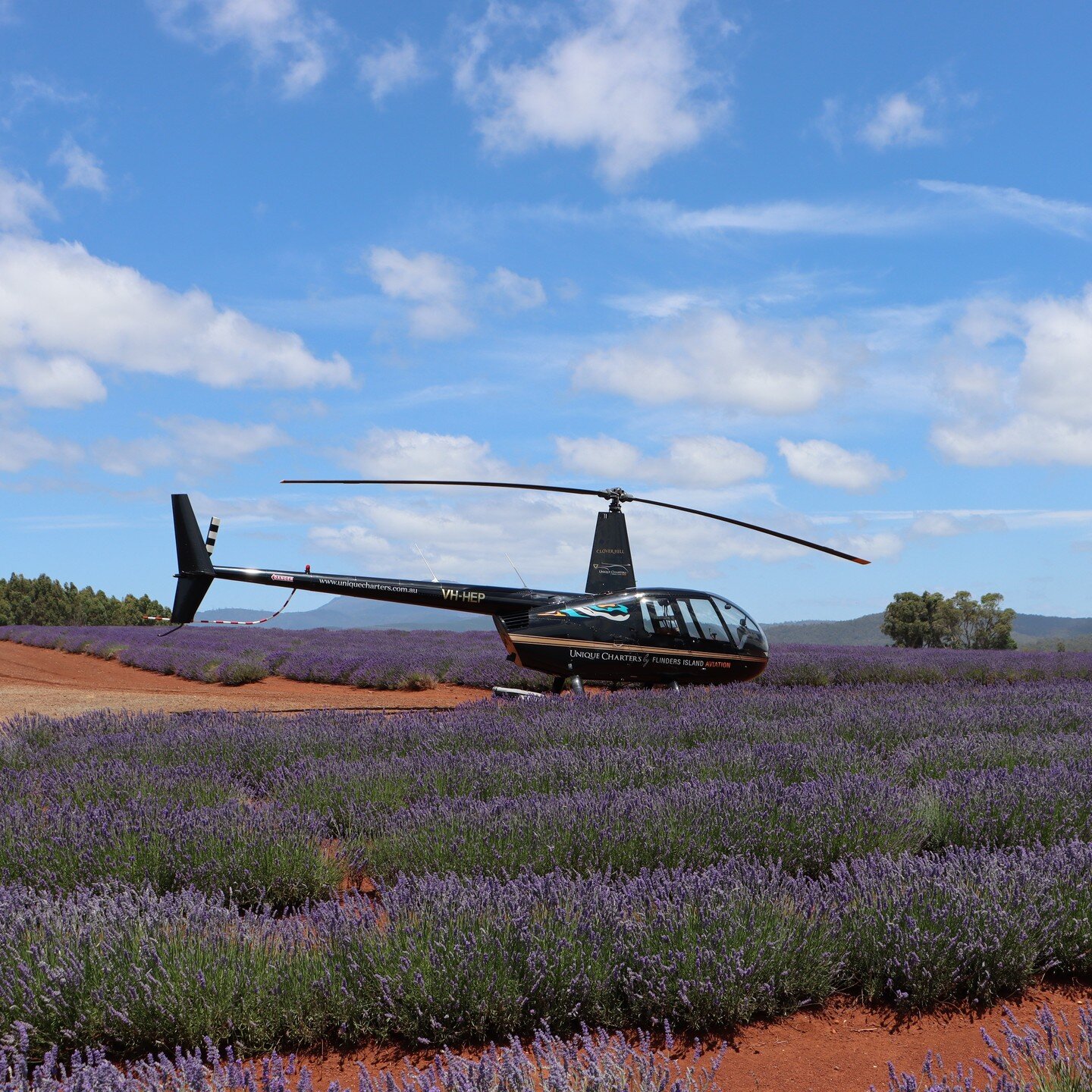 Fly to Bridestowe Lavender Estate and Clover Hill on our 'Love and Lavender' flight! Pre-book now for dates in December and January.

With their flowers blooming each summer, @bridestoweestate is a must-visit destination when visiting Launceston and 