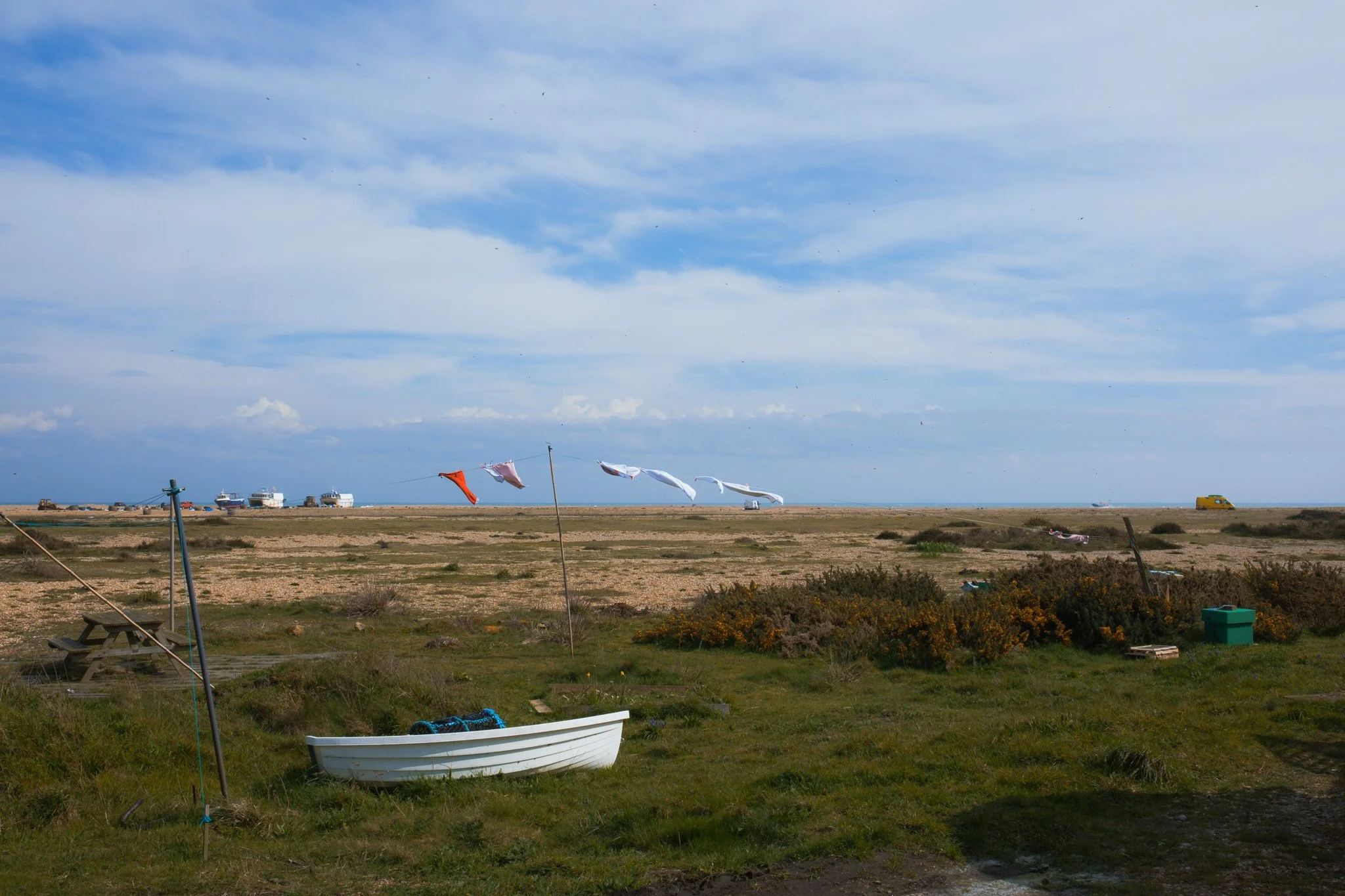Dungeness 