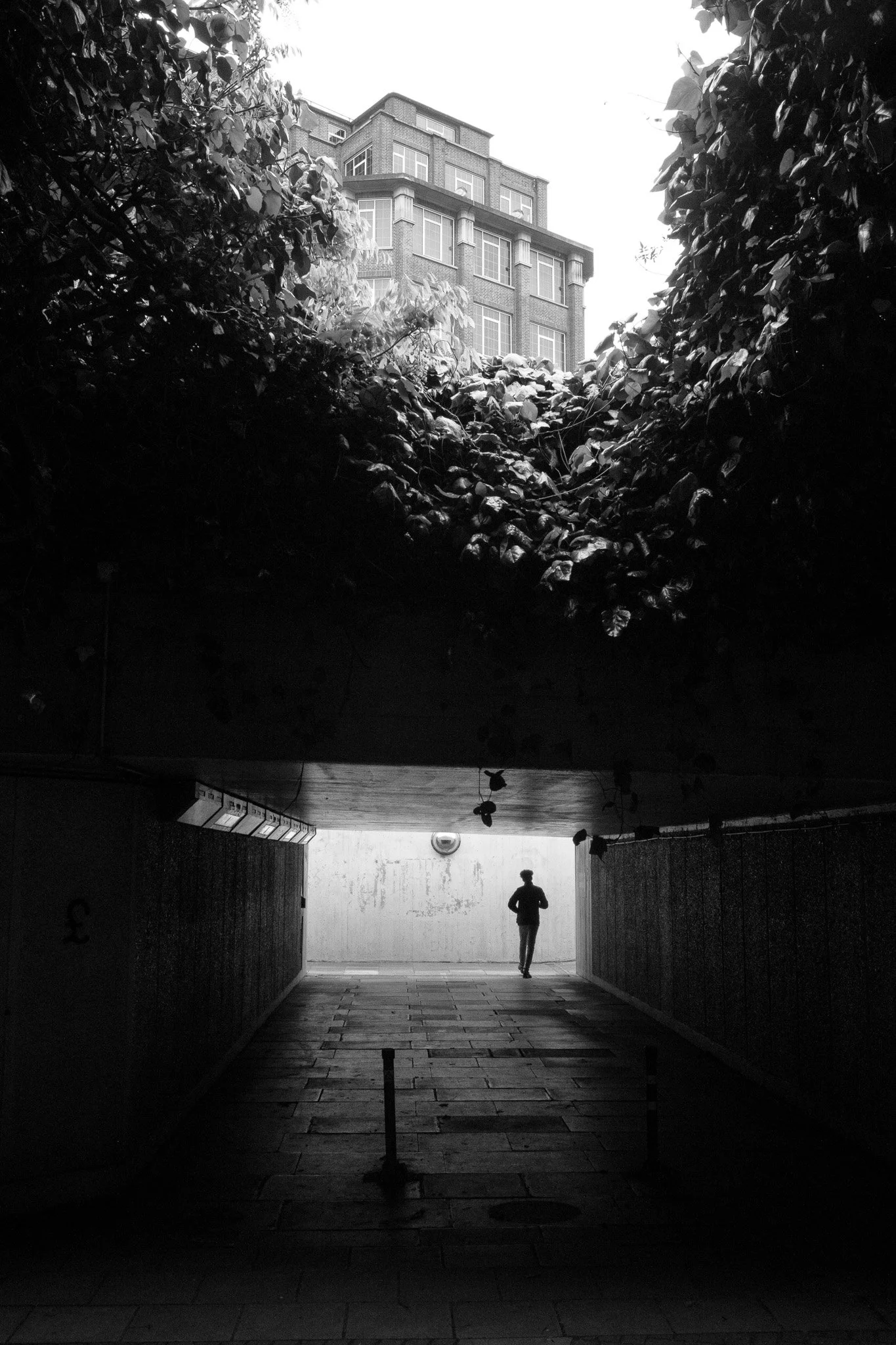 runner 