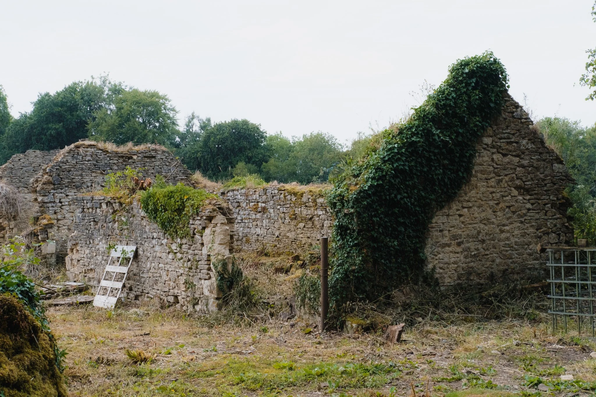 Ruins of an old stone building with overgrown ivy and surrounded by trees.