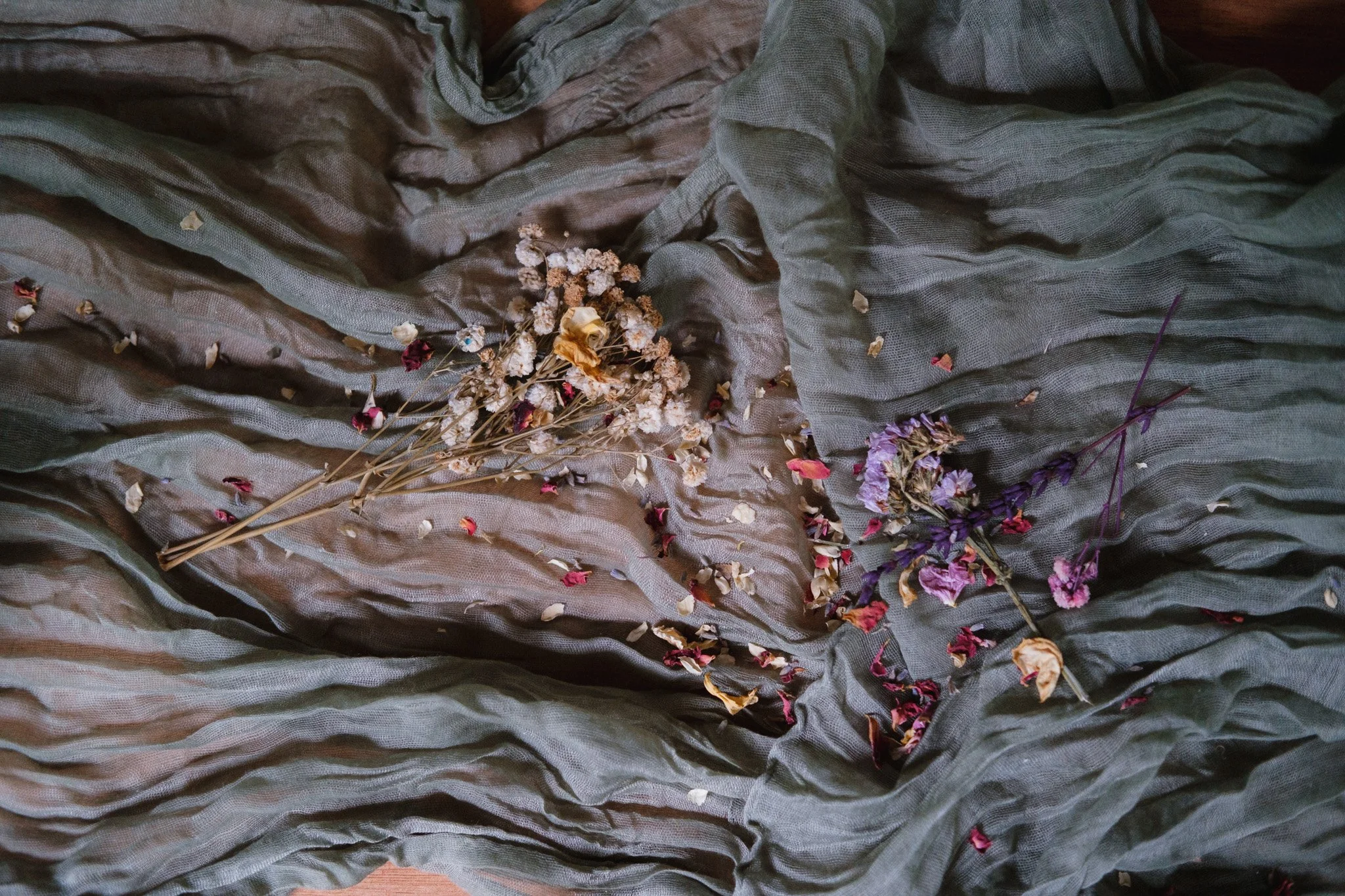 Dried flowers scattered on wrinkled gray fabric.