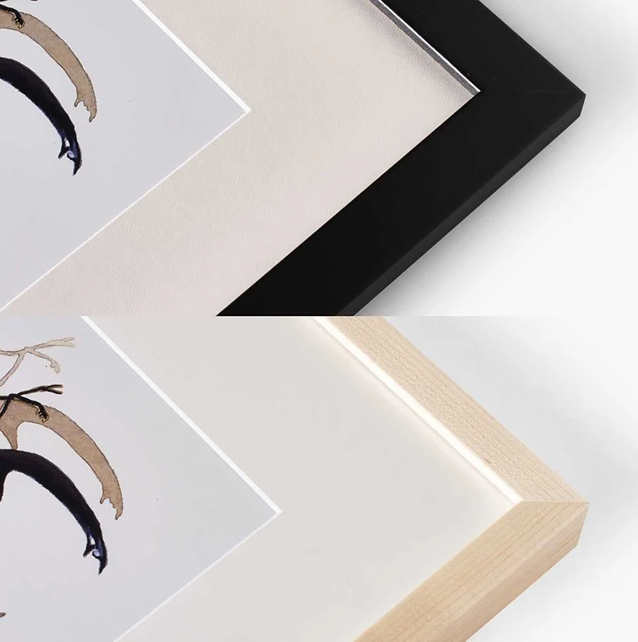 We Perceive flat frame and box frame 2.jpg