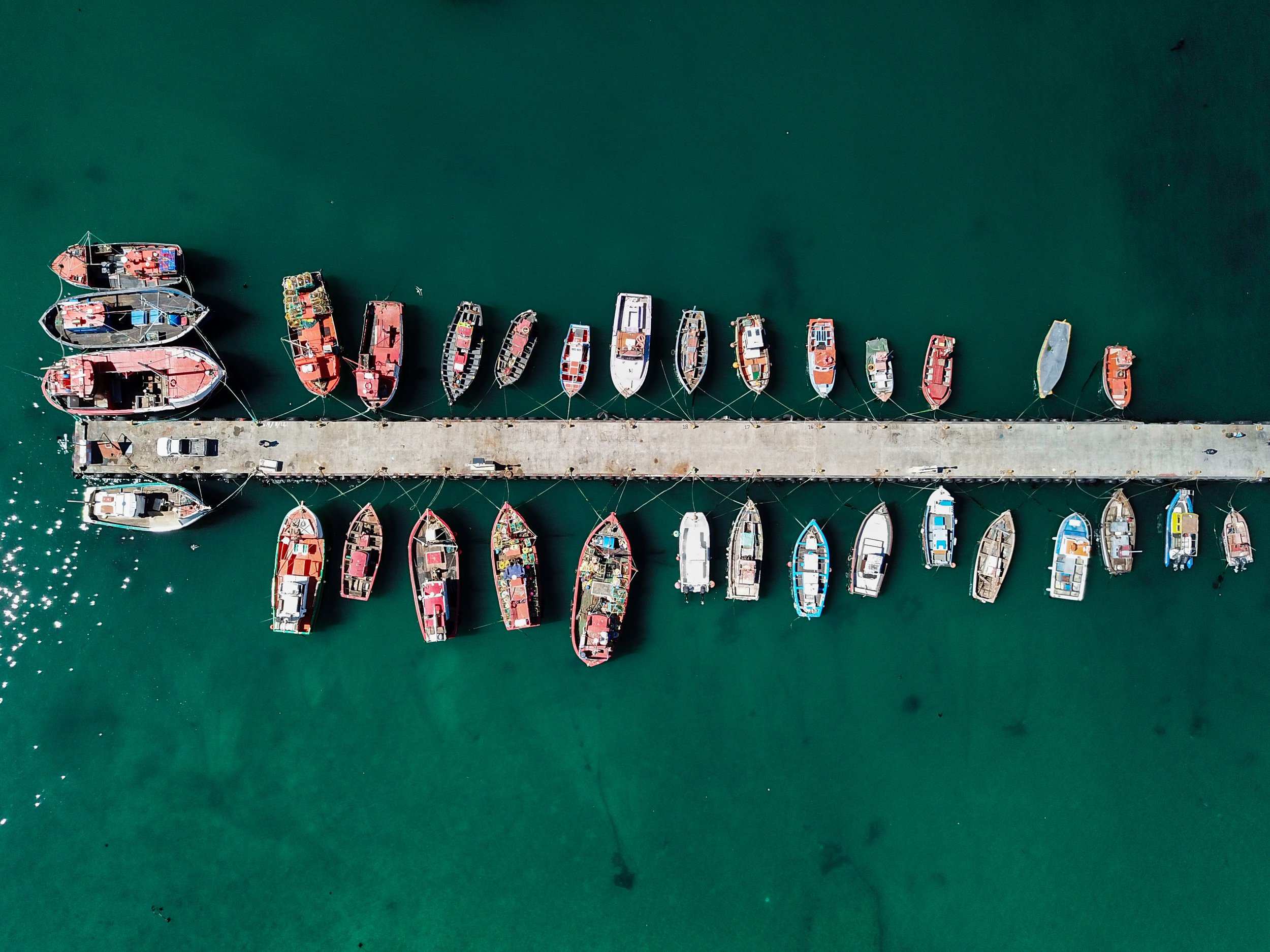 DJI_0276.jpg
