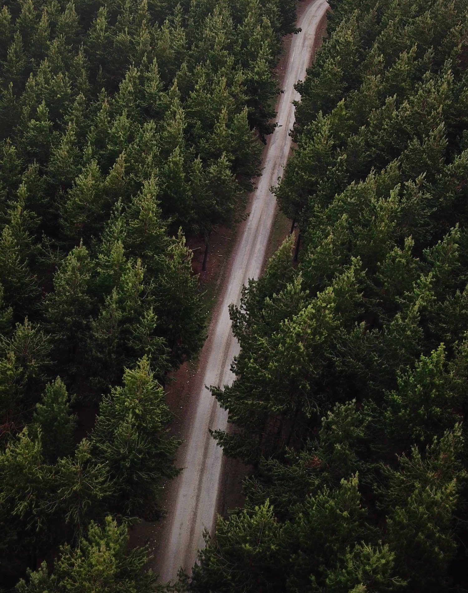 hogsback.jpg