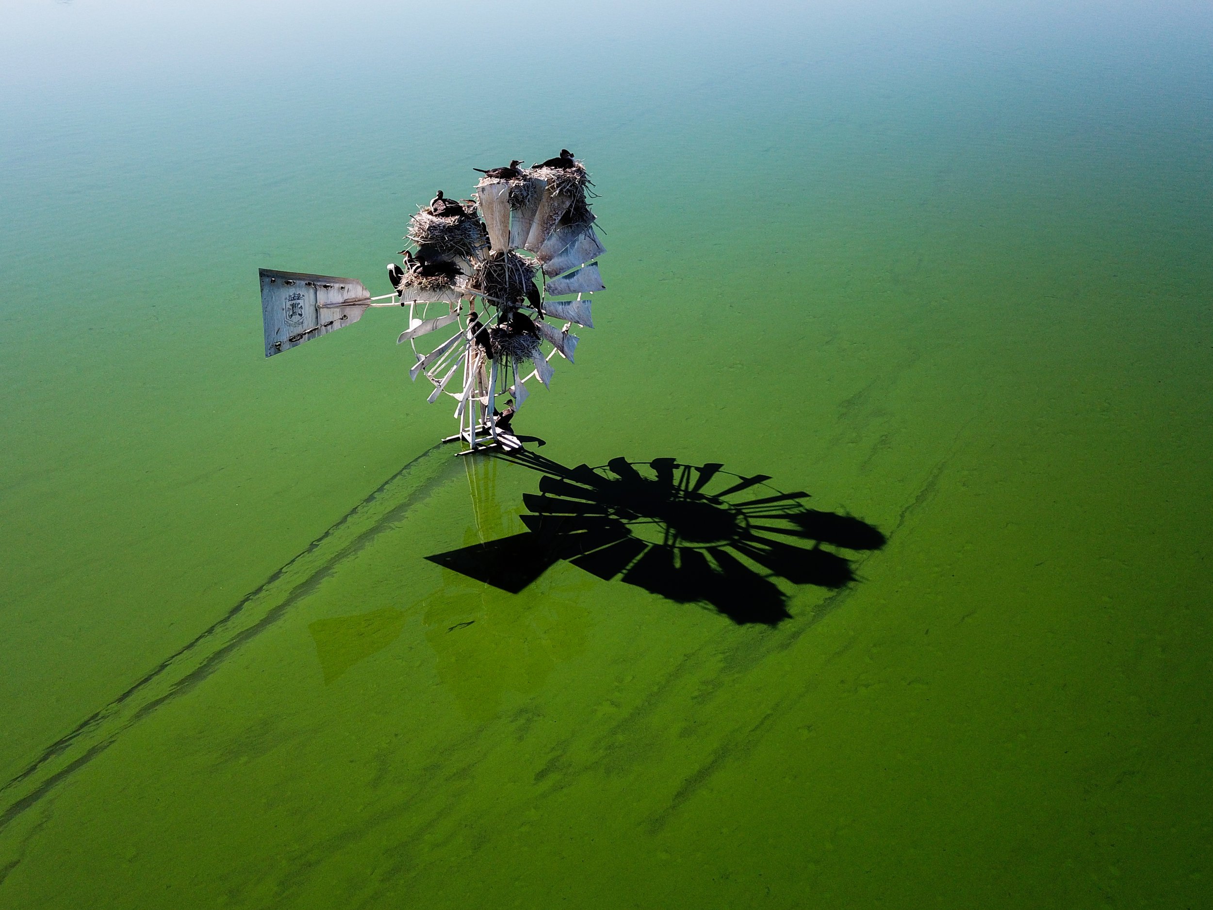 DJI_0271.jpg
