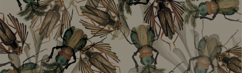 Pattern of illustrated insects and plants on a light background.