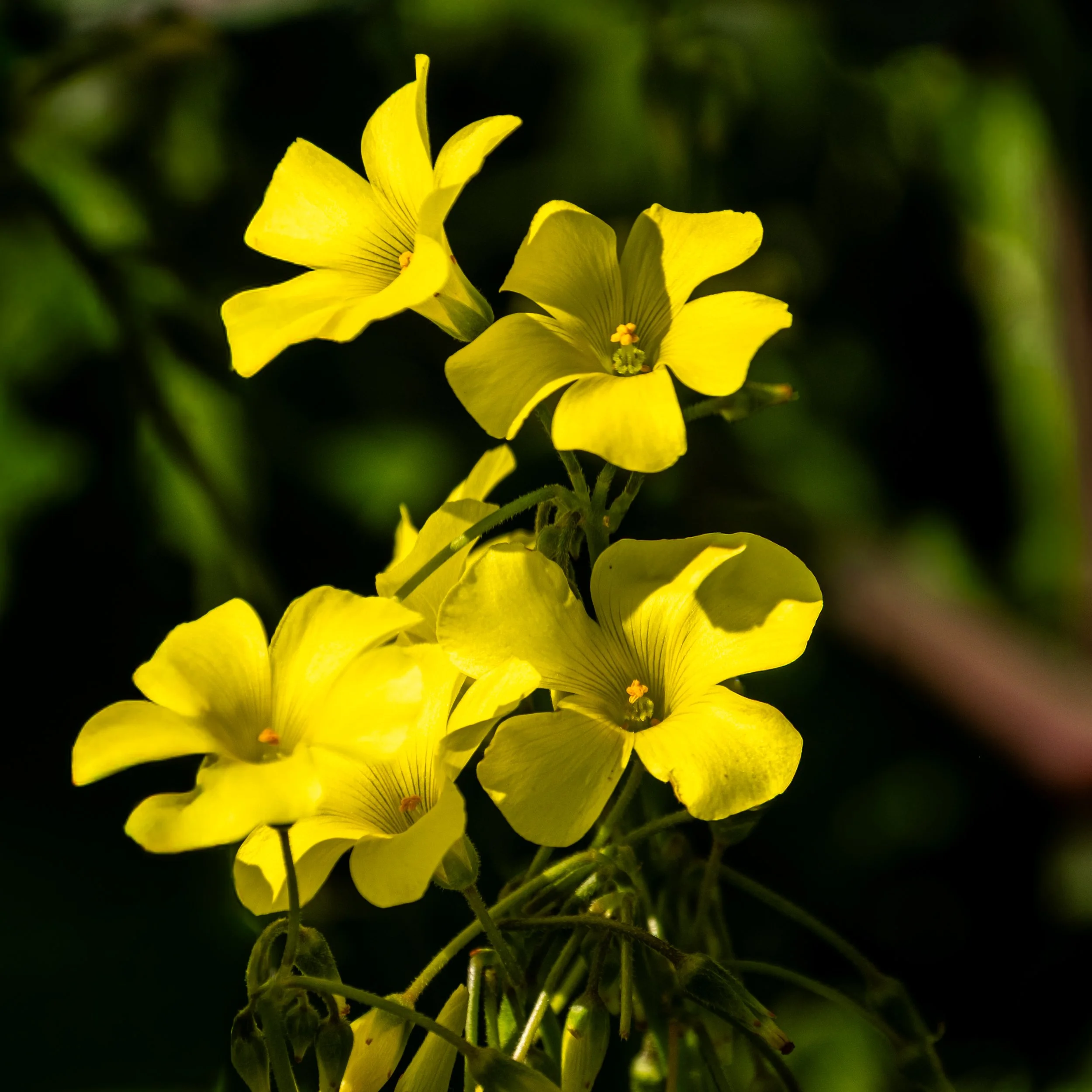 A surreal digital art of a seascape with a cliff on the right, with the horizon warped and repeated repeatedly into a rectangular, mirror-like frame that extends into the sky, creating a recursive effect.