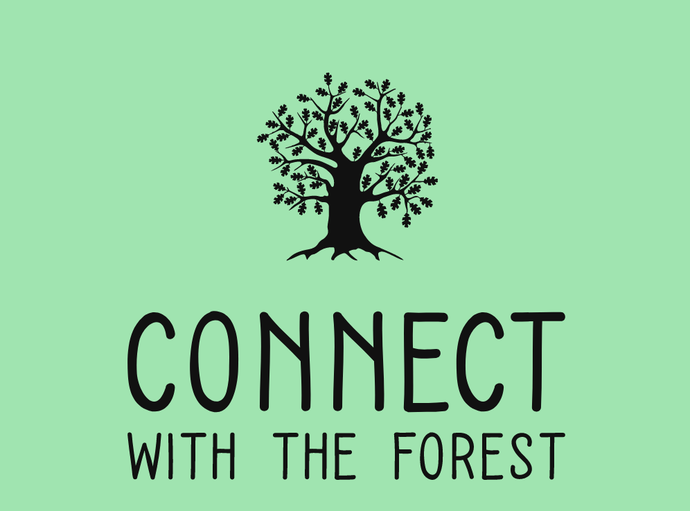 Connect With The Forest