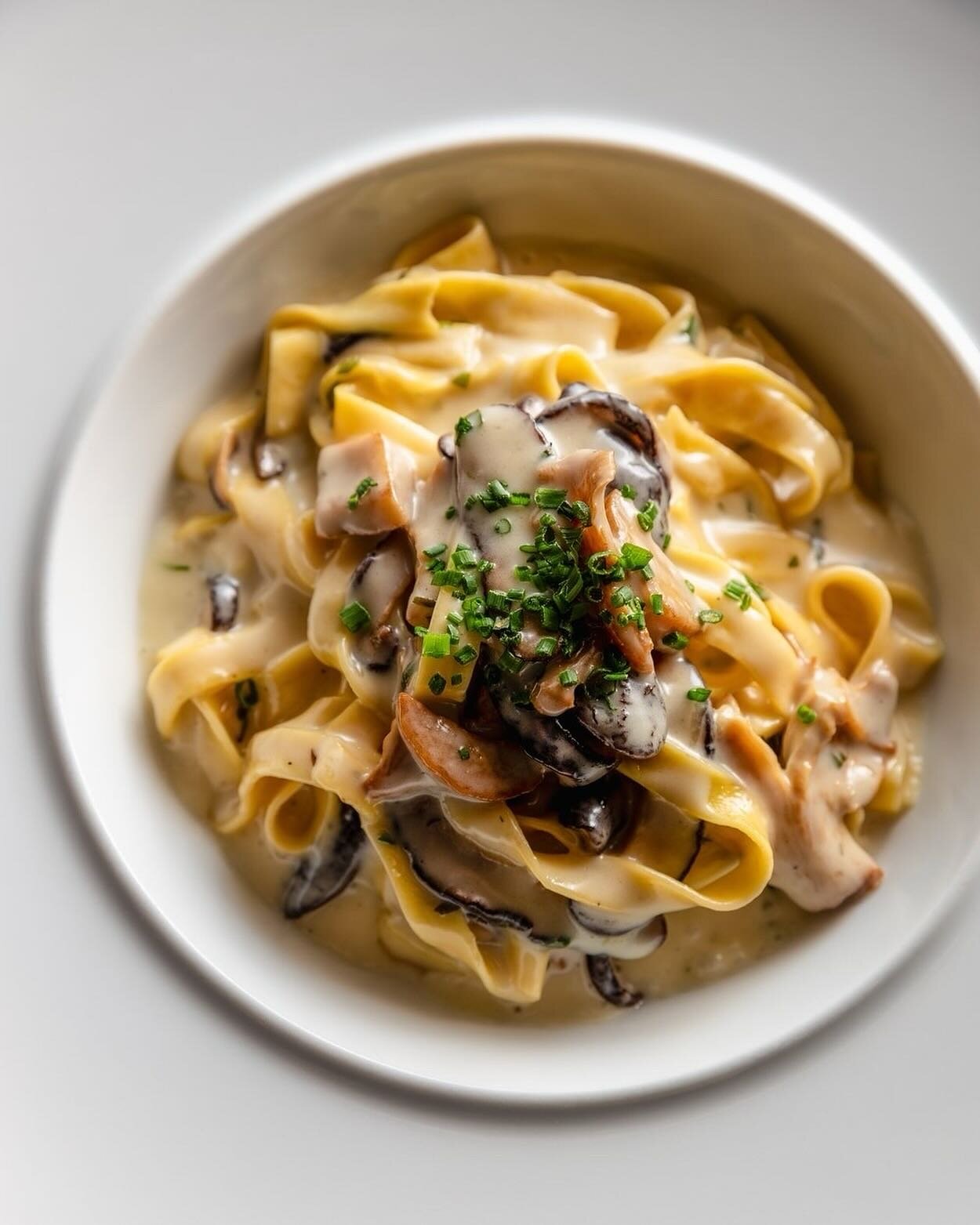 🍝 Craving something comforting for dinner tonight? We&rsquo;ve got you covered ✓

FETTUCCINE
roasted mushrooms . rosemary . mornay sauce

✨ Tap the link in our bio (or visit Mediterrano.com) to view our menus and to make a reservation, or just stop 