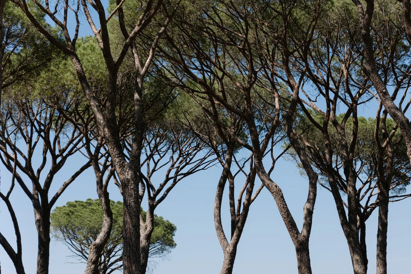  provence_summer_wedding_8780.jpg