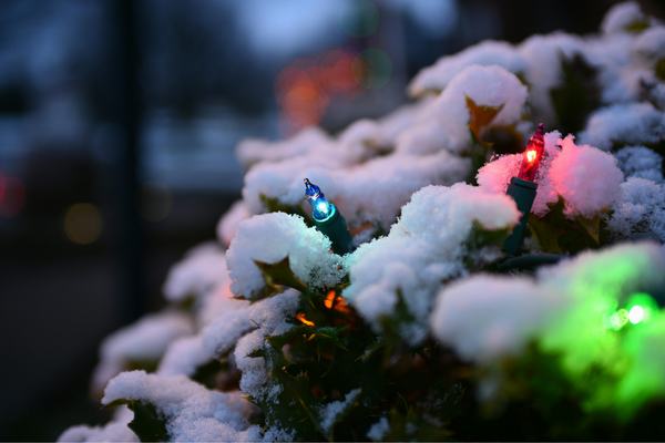 Oswego Lights Christmas light display in Oswego, IL