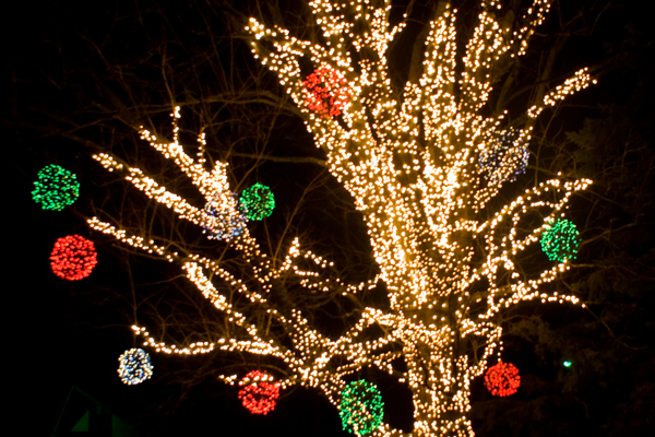 ZooLights at Lincoln Park Zoo in Chicago