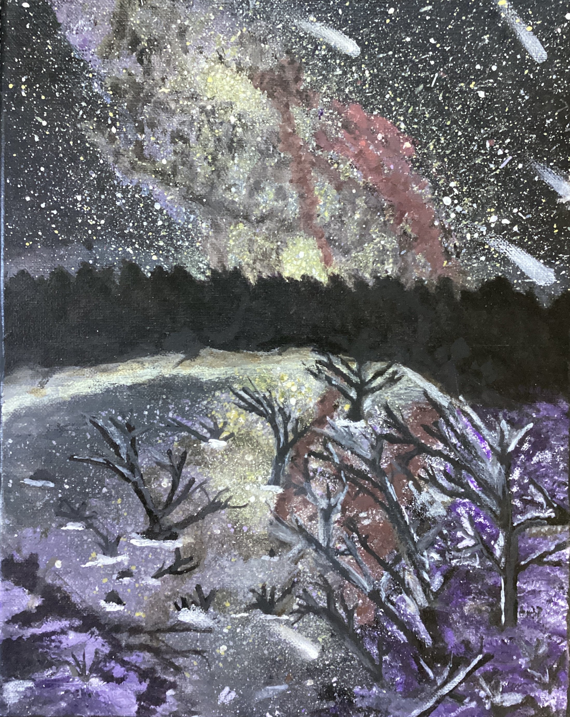 Starry Sky.jpeg