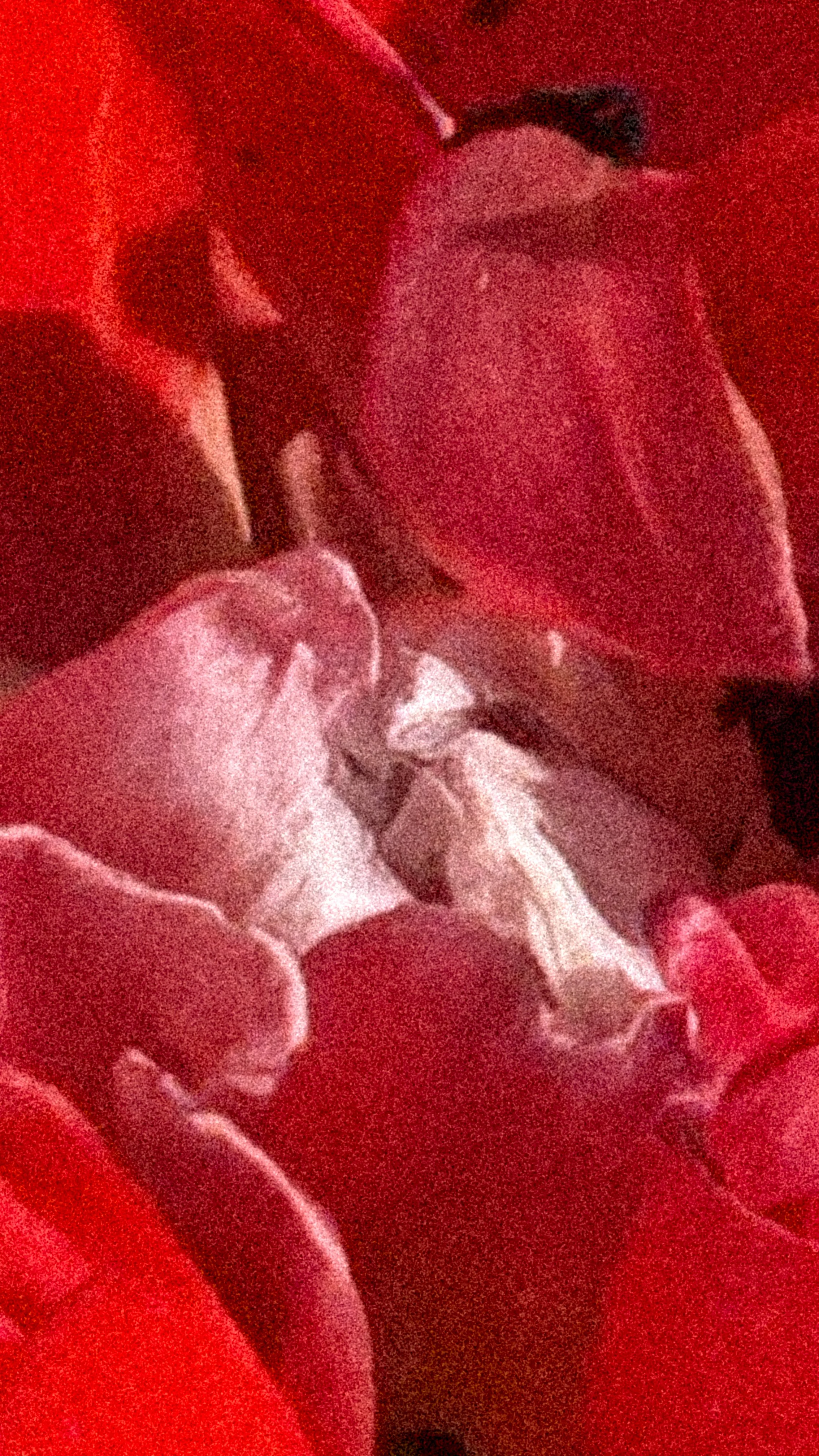 IMG_5009 2.JPG